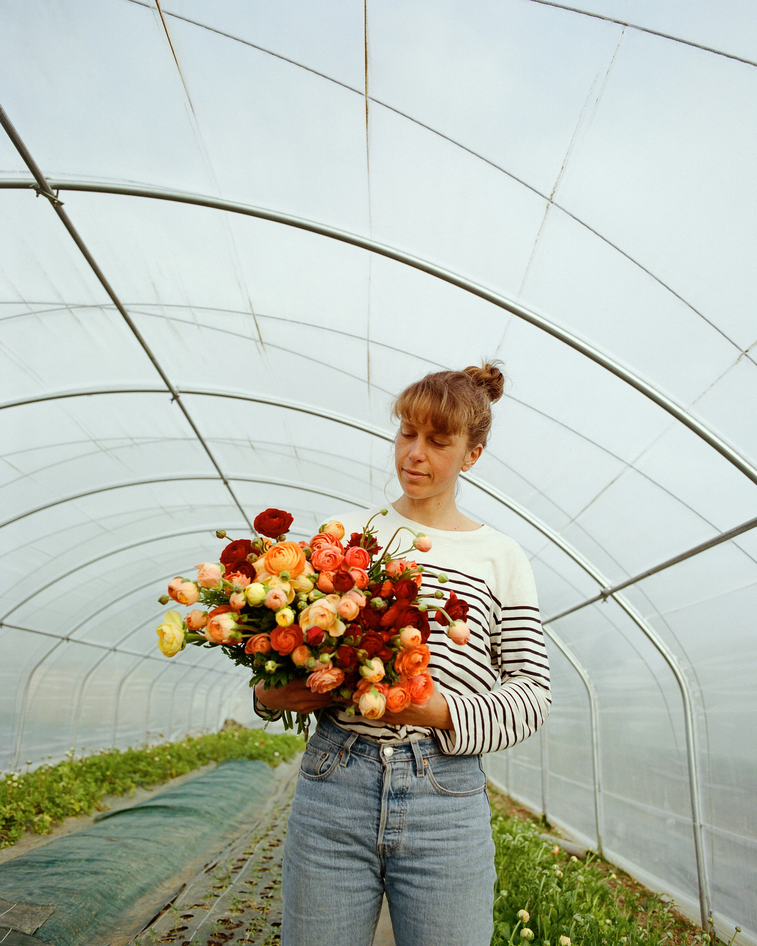 A la découverte de la France : Fleurs d'Aquitaine