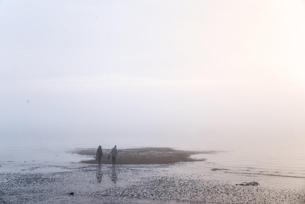 Collecting_seaweed-picturebyHannahBraeken.jpg