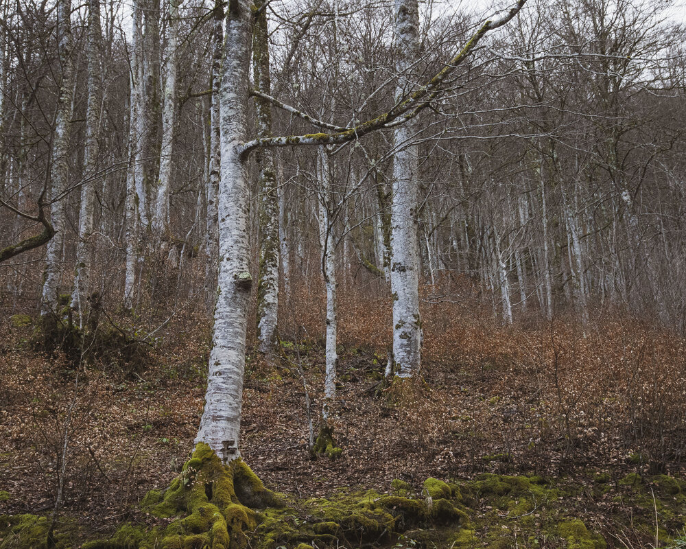 12-03-2021-REPORTAGE-SABOTIER--15_LQ.jpg