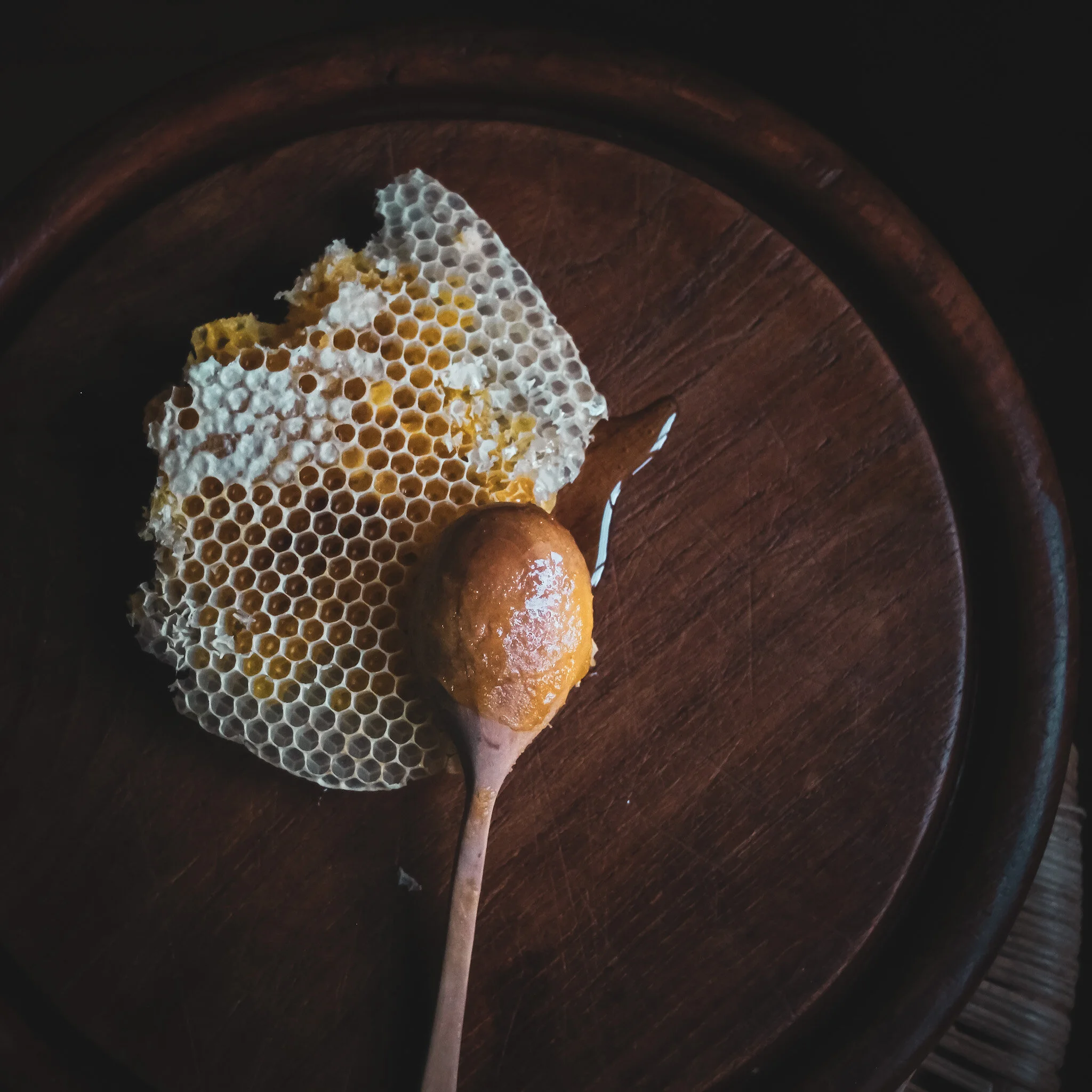 Printemps sauvage : portrait d'une apicultrice engagé