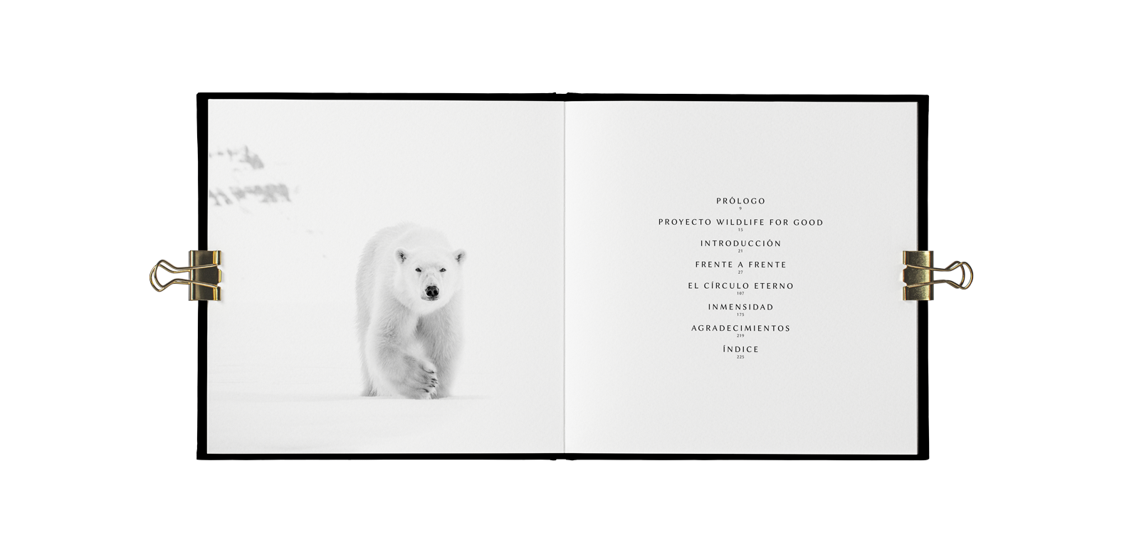 Indomada-studio-fotografia-naturaleza-wildlife-diseño-editorial-vida-libro-blanco-negro-interior-01.png