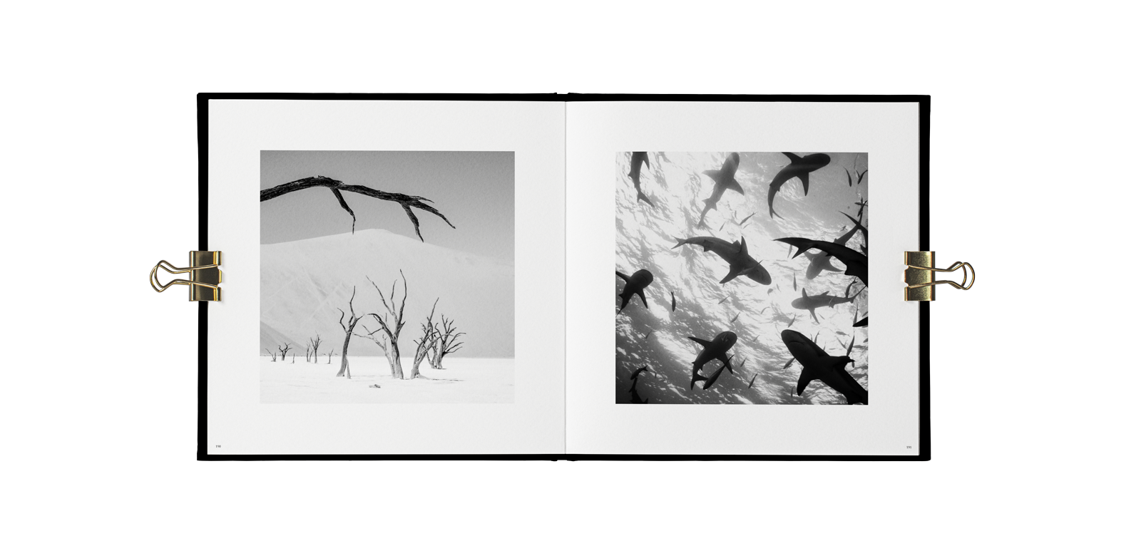 Indomada-studio-fotografia-naturaleza-wildlife-diseño-editorial-vida-libro-blanco-negro-interior-03.png