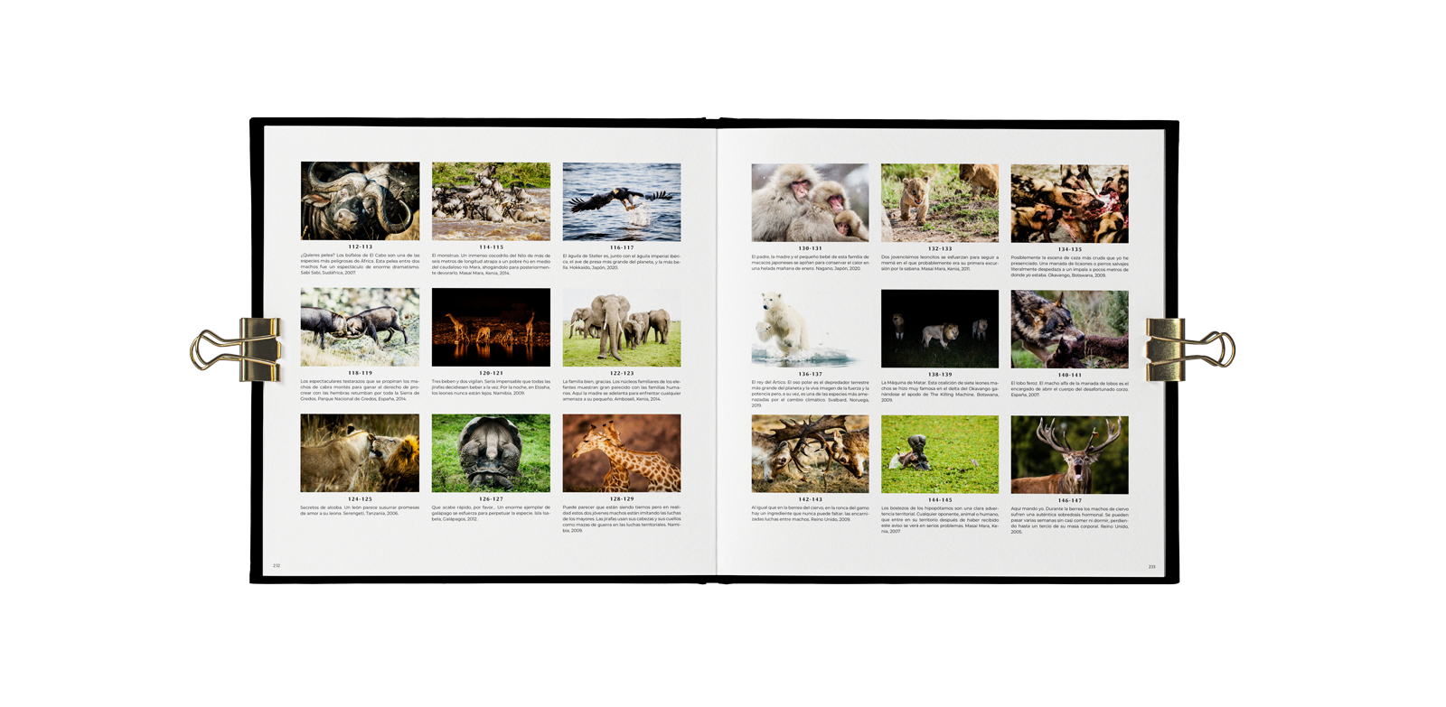 Indomada-studio-fotografia-naturaleza-wildlife-diseño-editorial-vida-libro-blanco-negro-interior-04.png