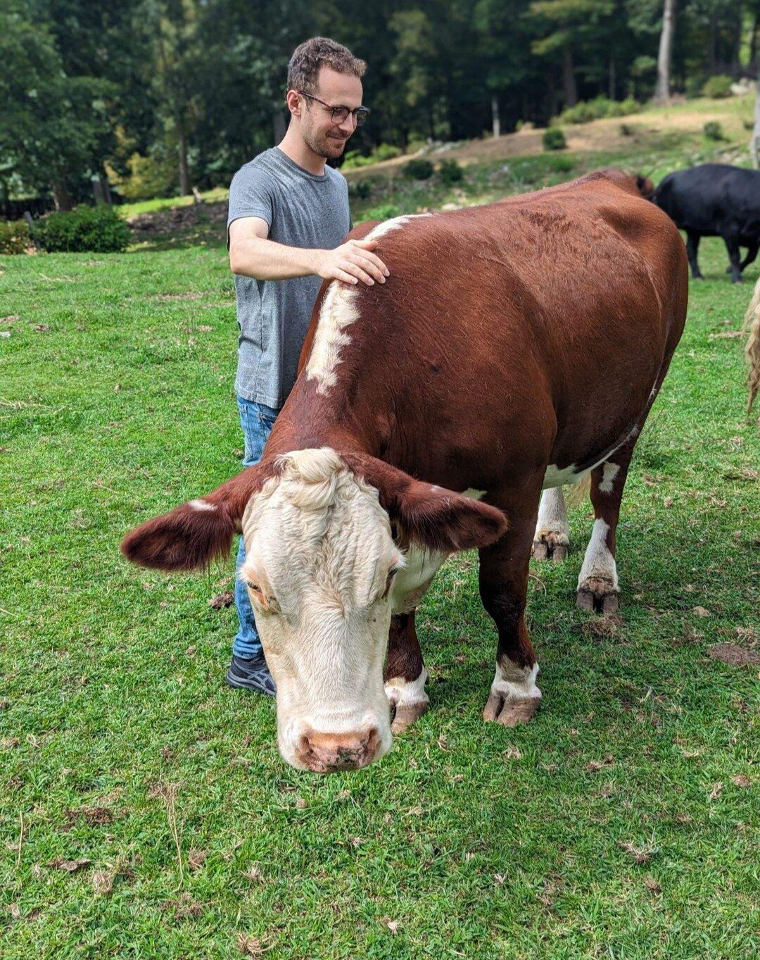 A special visit today to the @elliemaefarmsanctuary with these precious animals. A very inspiring organization in Connecticut that rescues, cares for, and provides a lifelong home for neglected, abused, and abandoned farmed animals 
www.elliemaefarms