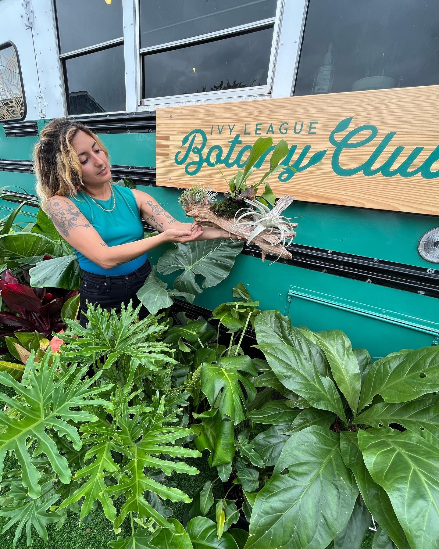 This gorgeous human came by the pose with an epiphyte mount I just finished. I love when friends pop in ❤️❤️
Love you @mothmysticals 

I&rsquo;ll put out reminders as the month goes on, but I&rsquo;ll be closing up shop June 4-Aug 31. I love my plant
