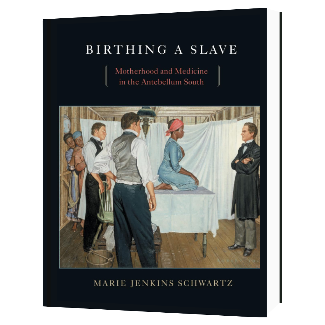 Birthing A Slave by Marie Jenkins Schwartz
