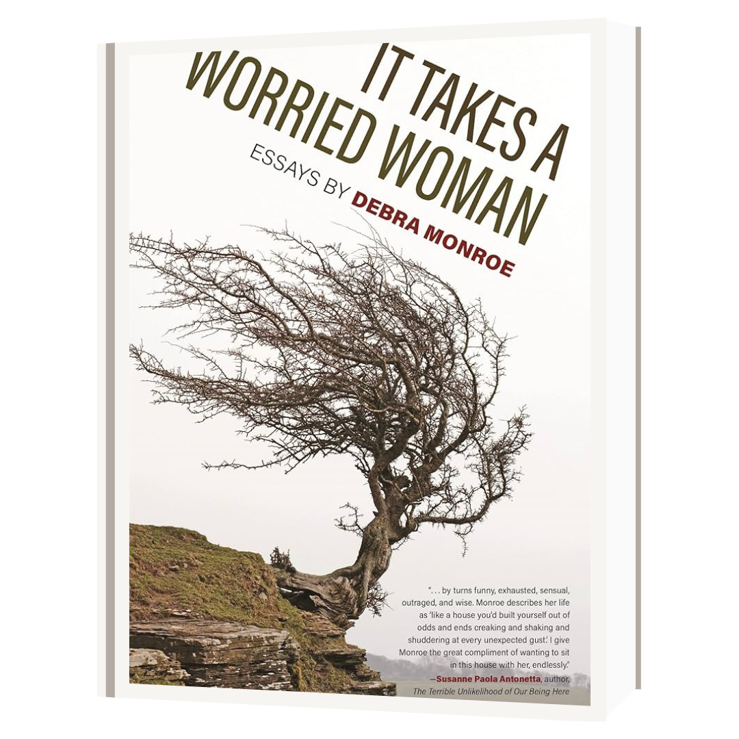 It Takes A Worried Woman: Essays by Debra Monroe