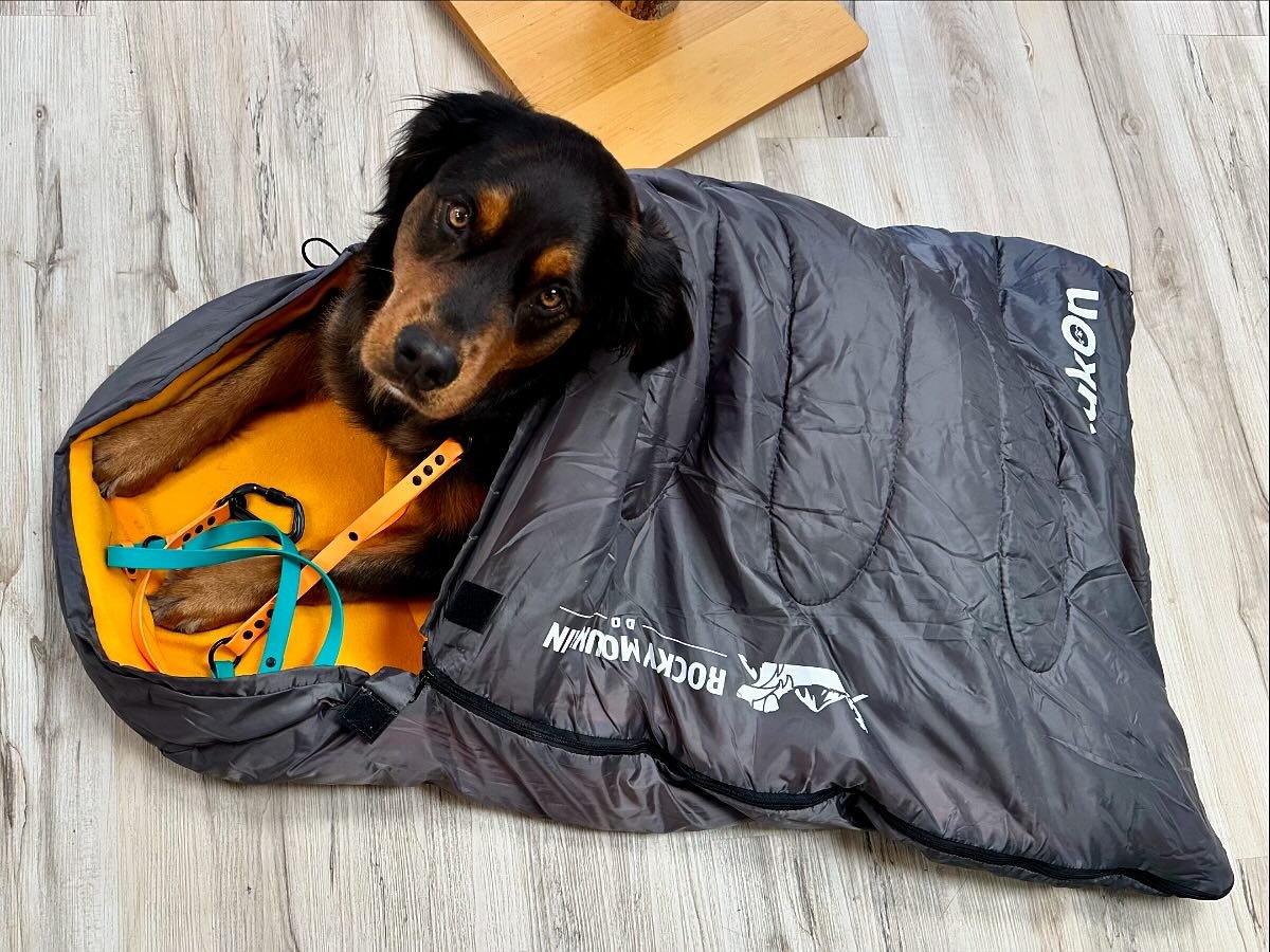 Snug as a bug in a rug! Mia is all snuggled up in the Yukon sleeping bag by @rockymountaindogca in these chilly nights. Come on in and let us help make your chilly dog chill out! #snugasabug #itsadogslife #justchillin #smallbusiness #smallbusinessown