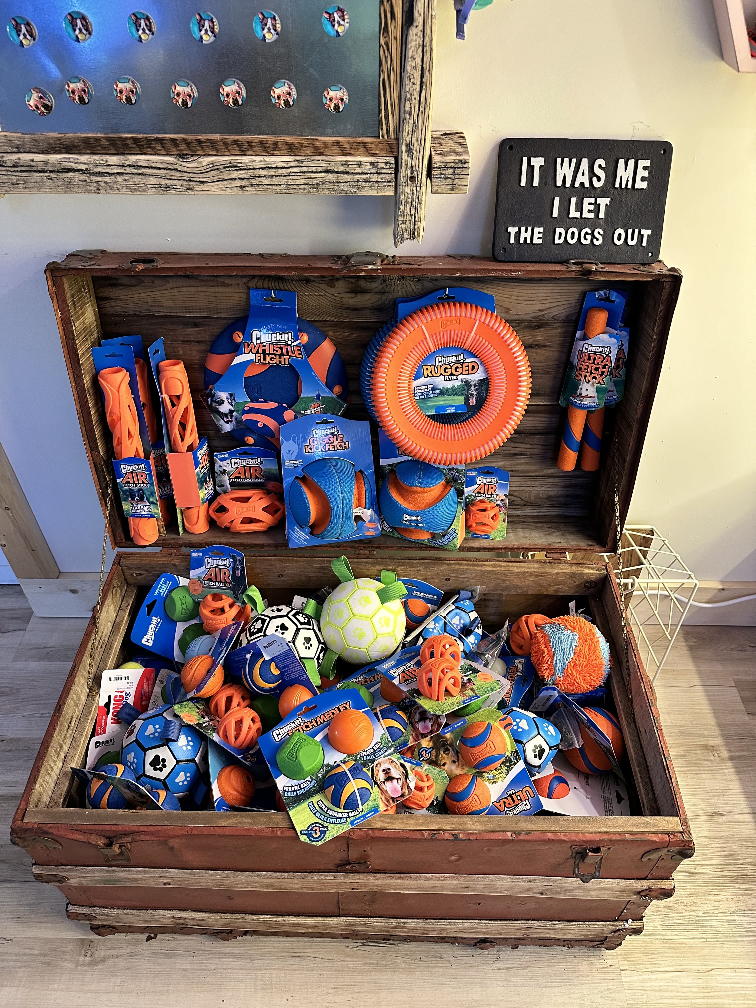 Get out there and adventure with our wide selection of activity toys!