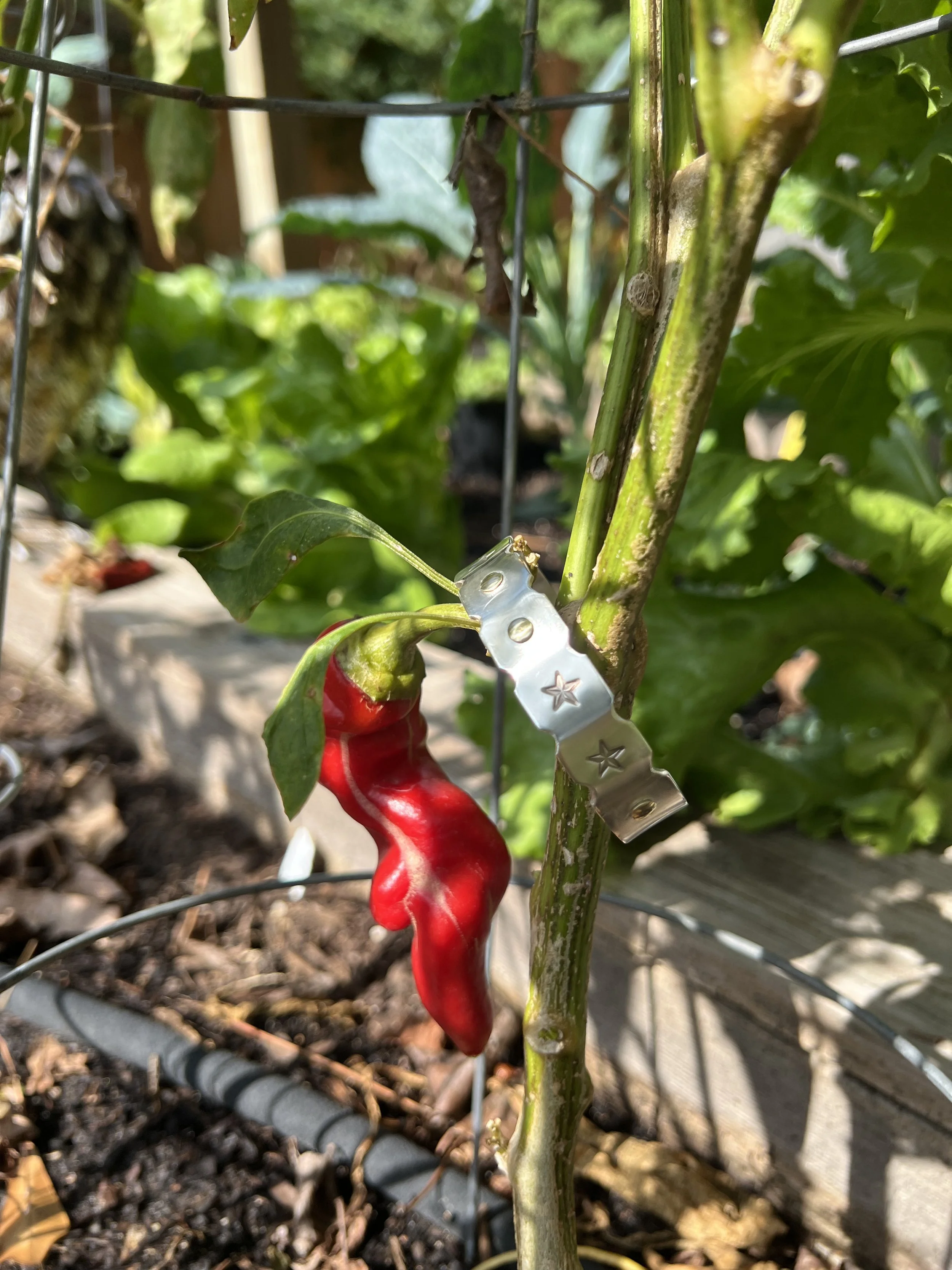 20251028_165306037_iOS conv.jpeg