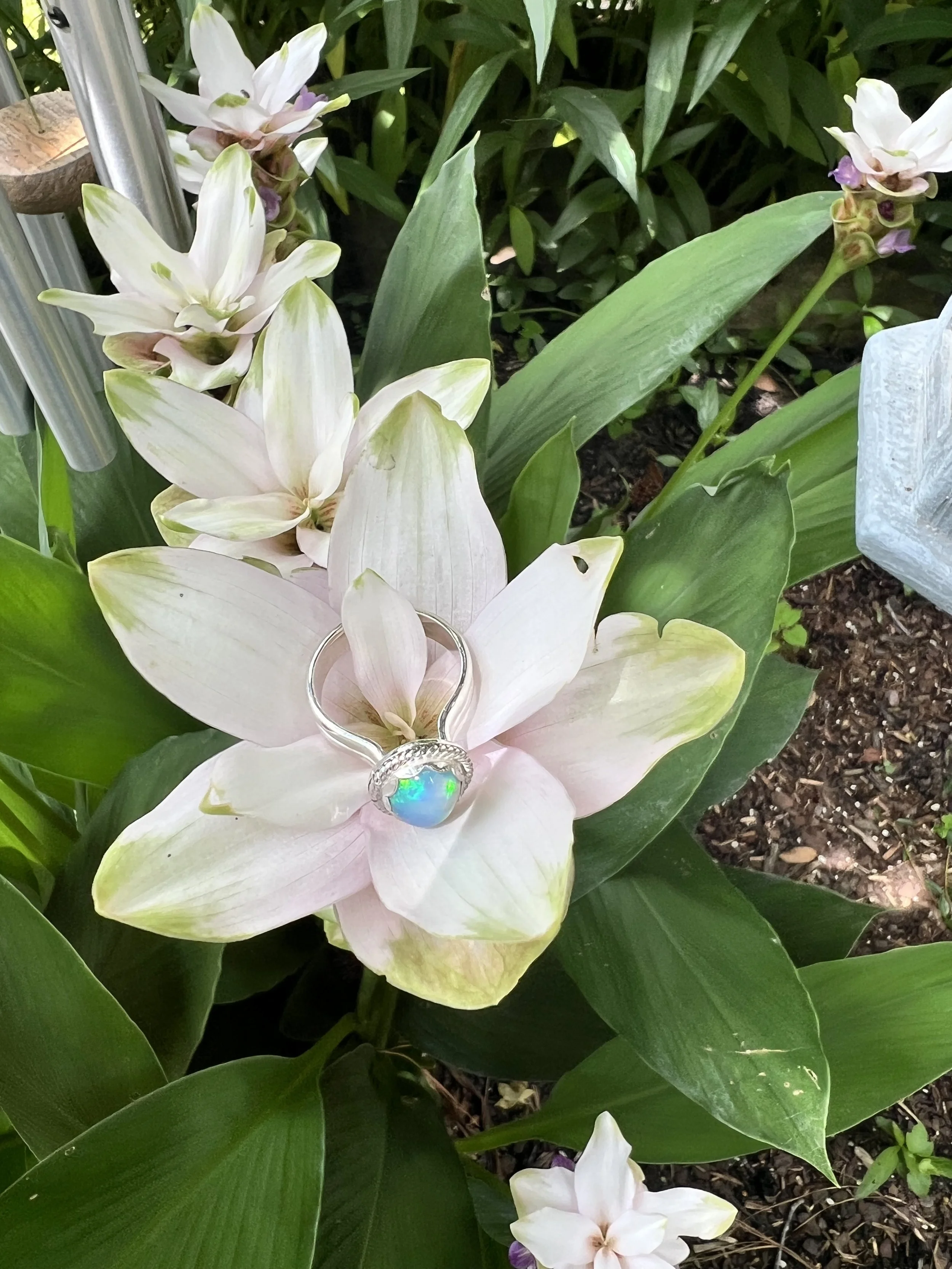 High-top Sterling Silver Ring with Brilliant White Opal