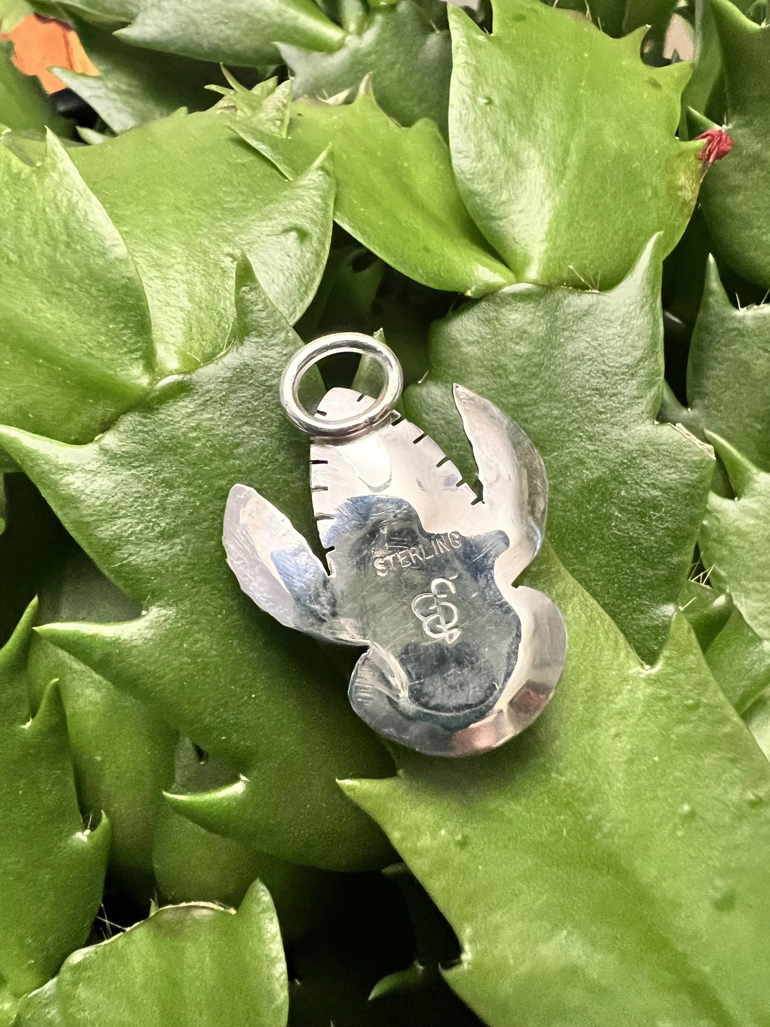 20260312_012356419_iOS conv.jpeg