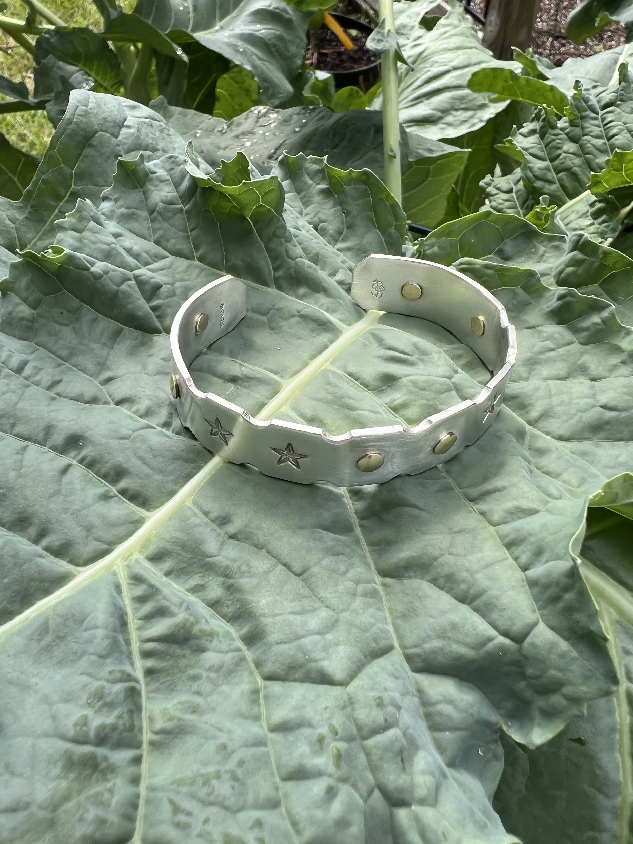 20251028_164710282_iOS conv.jpeg