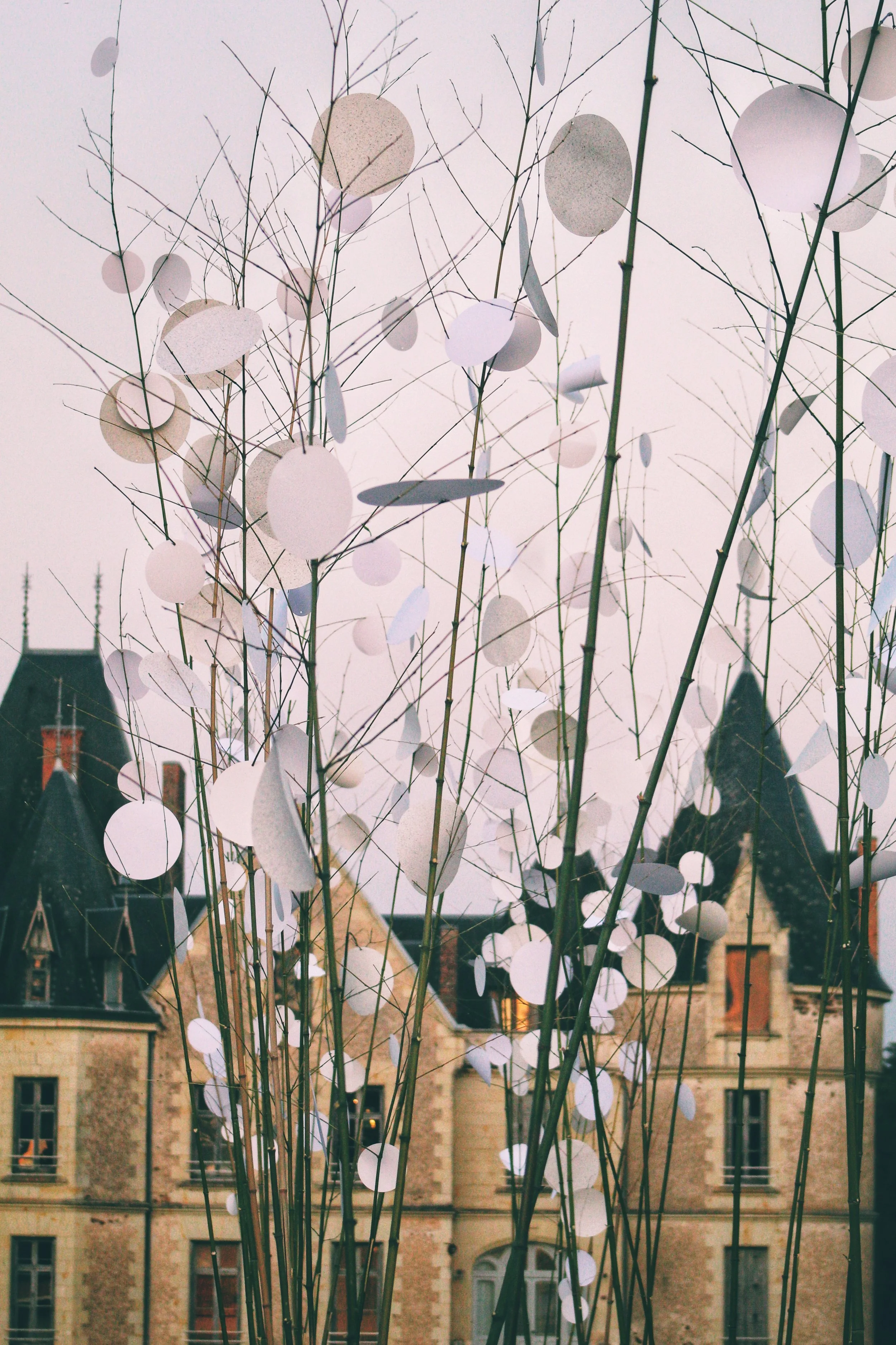 Ephemeral Spaces: Crafting Nature’s Transience: August 2025 Boisbuchet, France