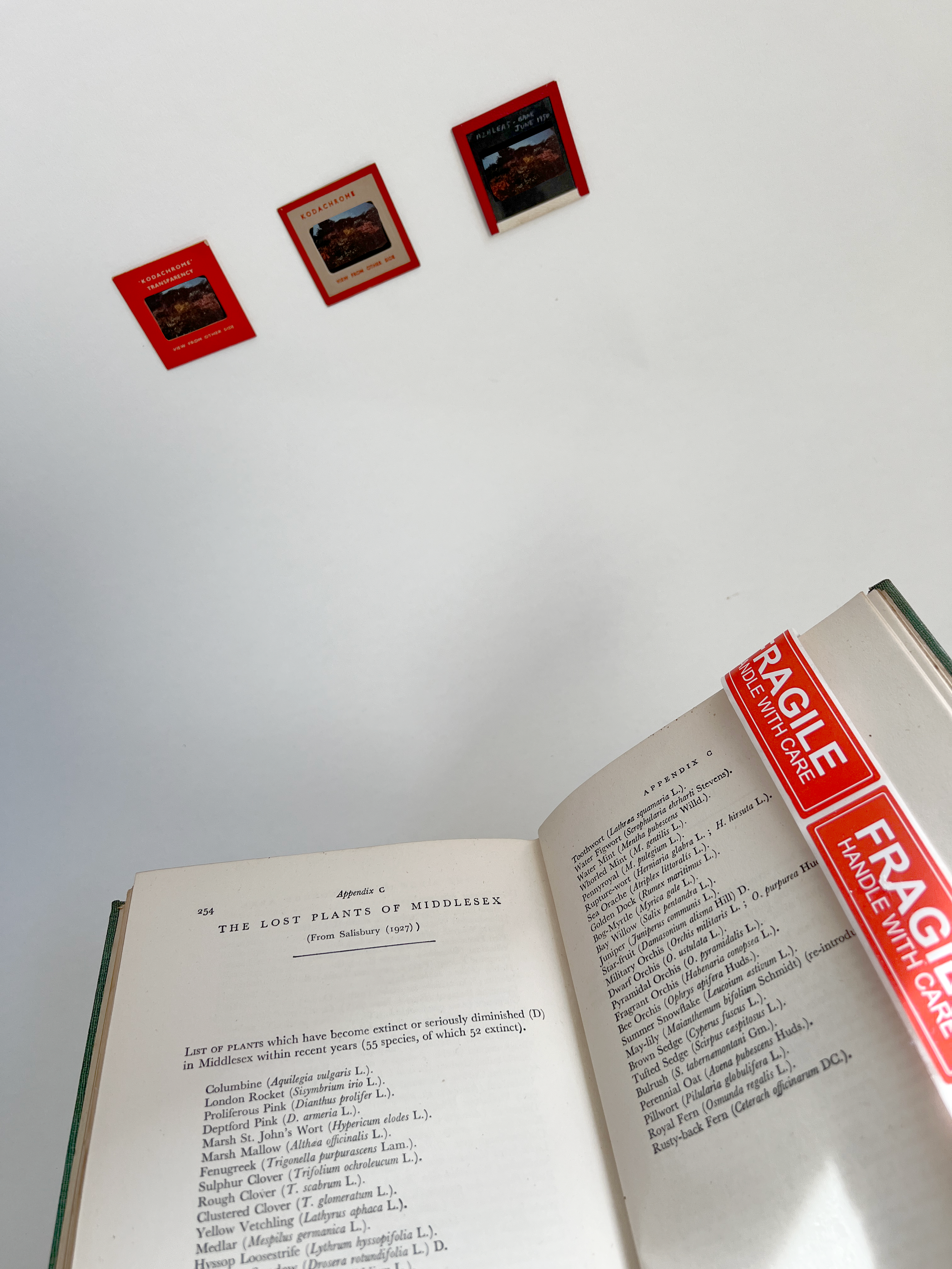 2_Fragile books_2.png