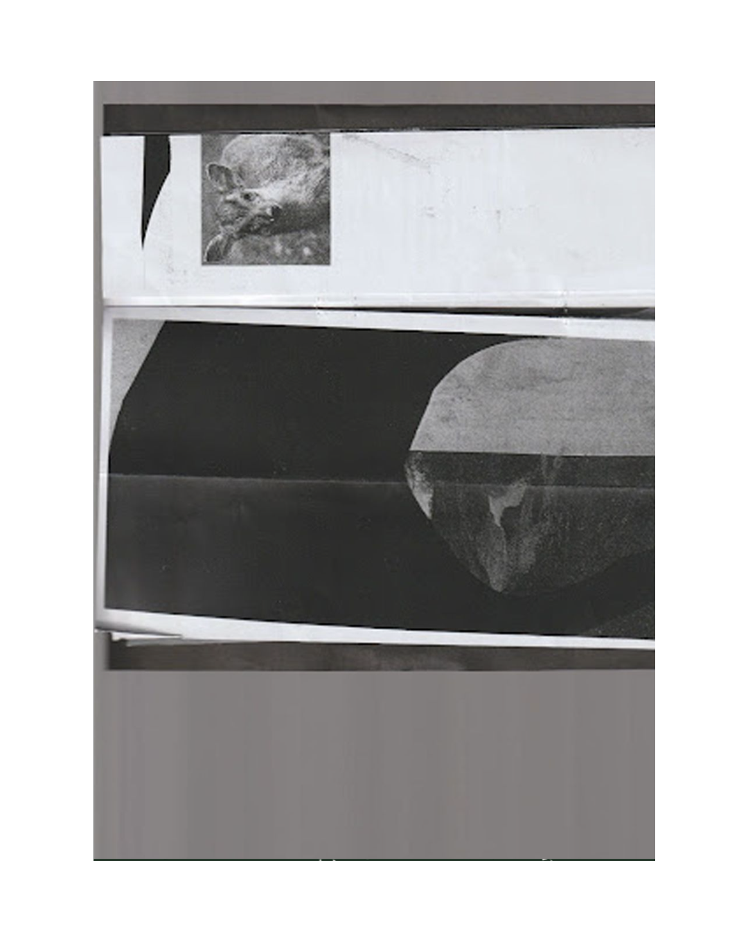 MUNTJAC SNEAKY MEDIA.png