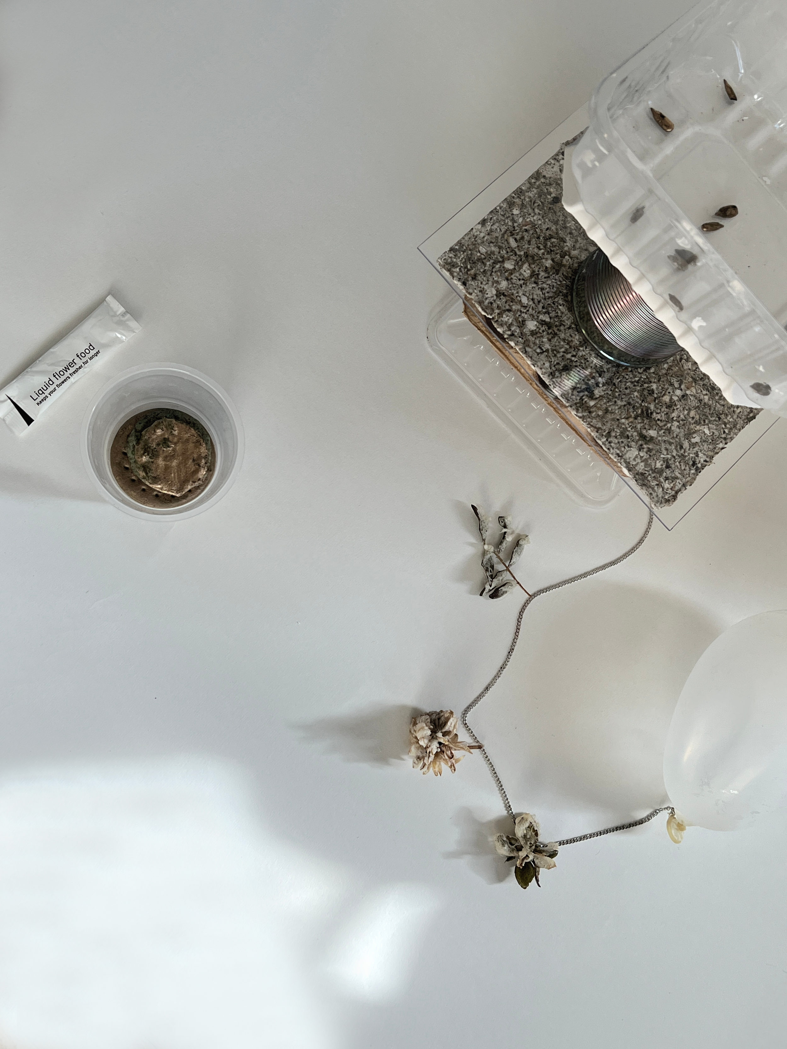 1_Gold seeds_tempura_2.png