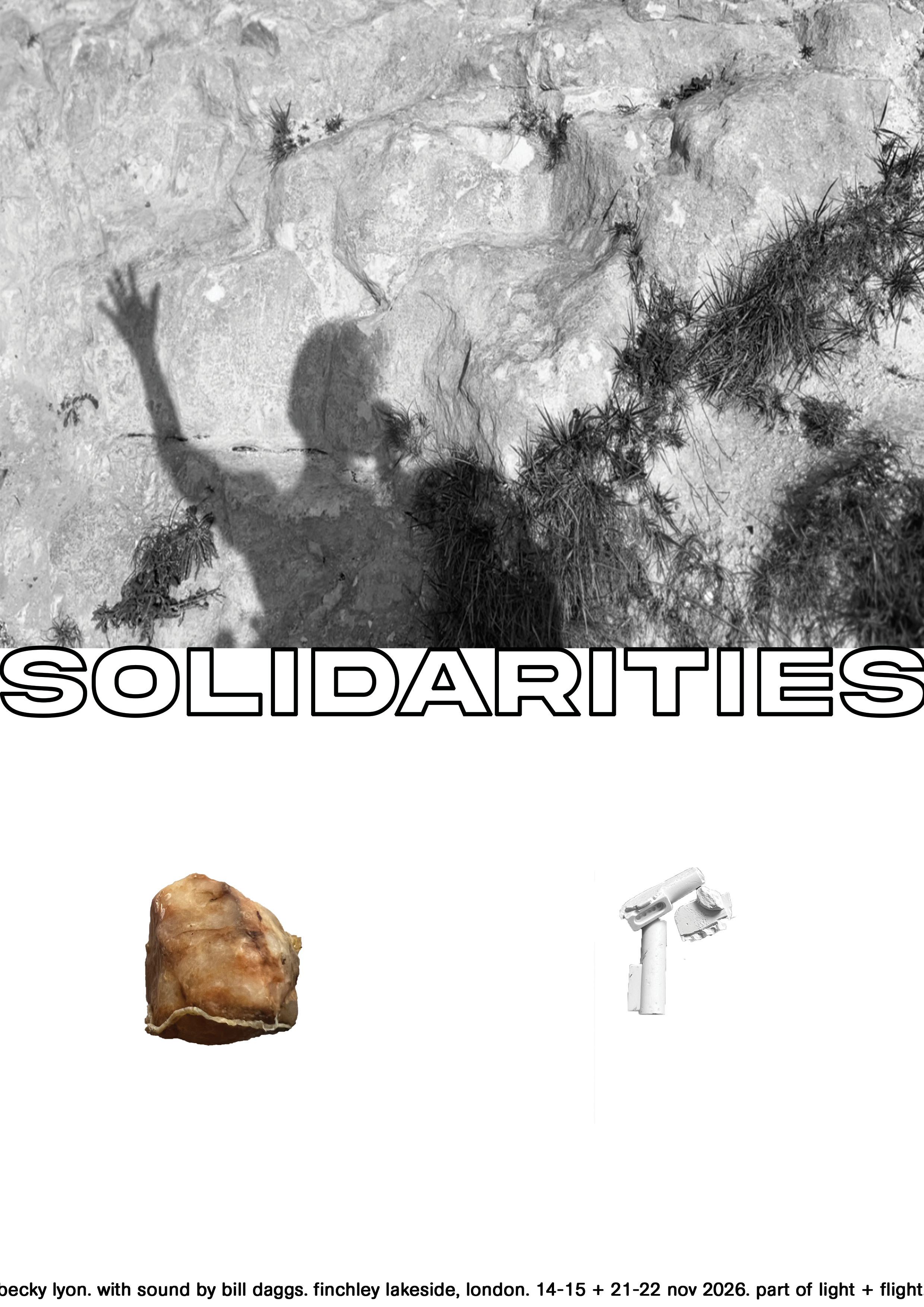 Promo Graphic_solidarities_v6.png