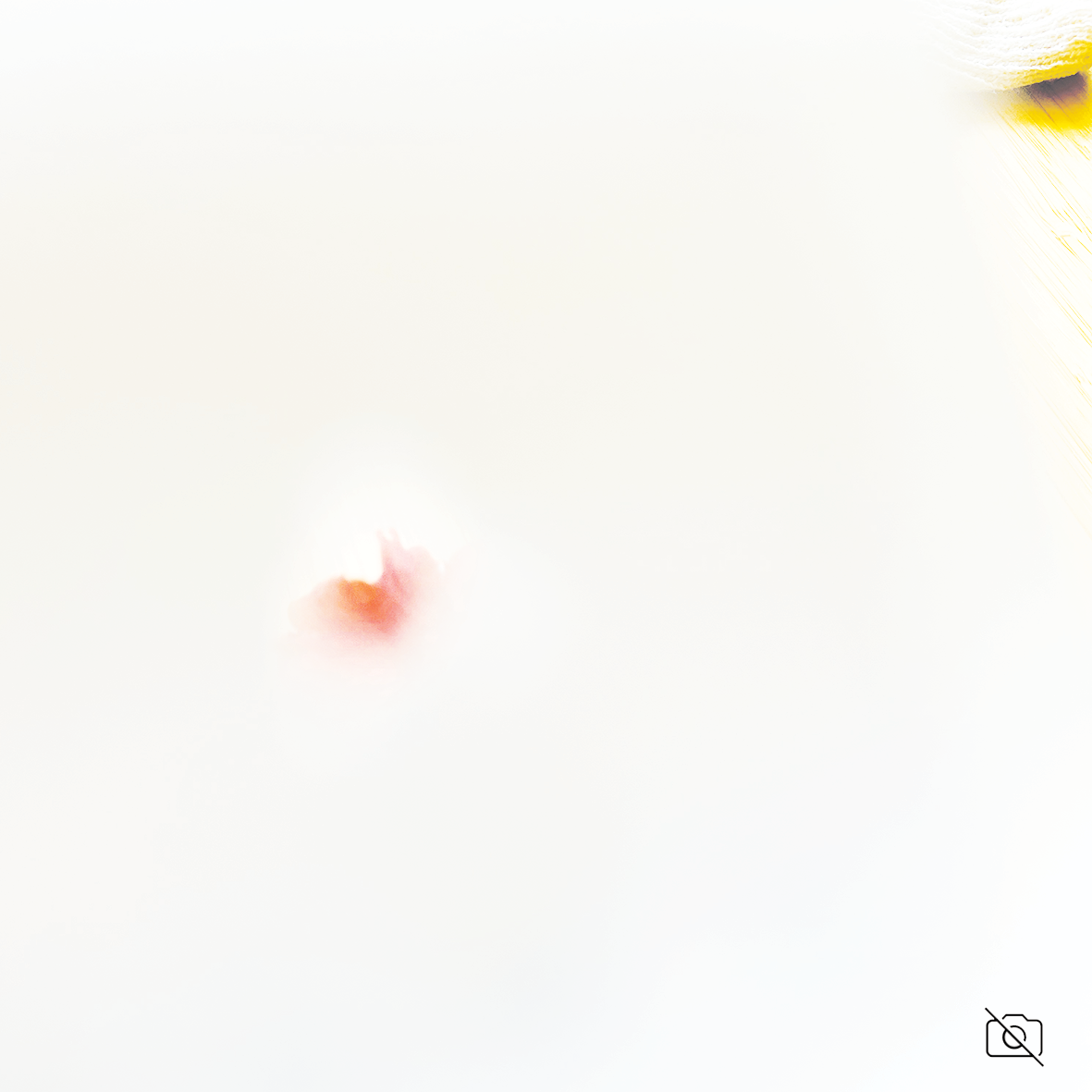 My website_TOUCH ME NOT v2.png