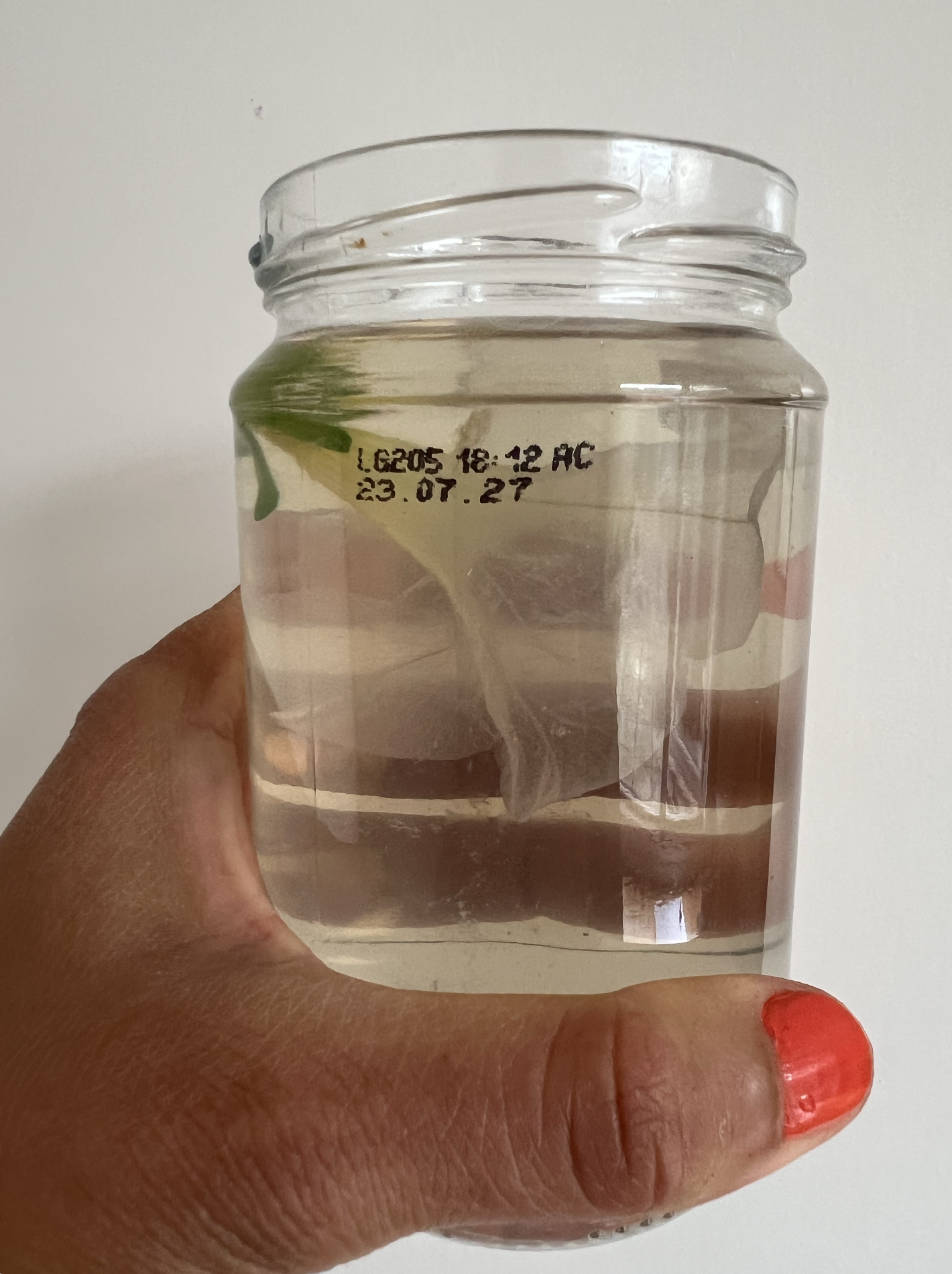 Screenshot 2025-11-29 at 15.28.36.png