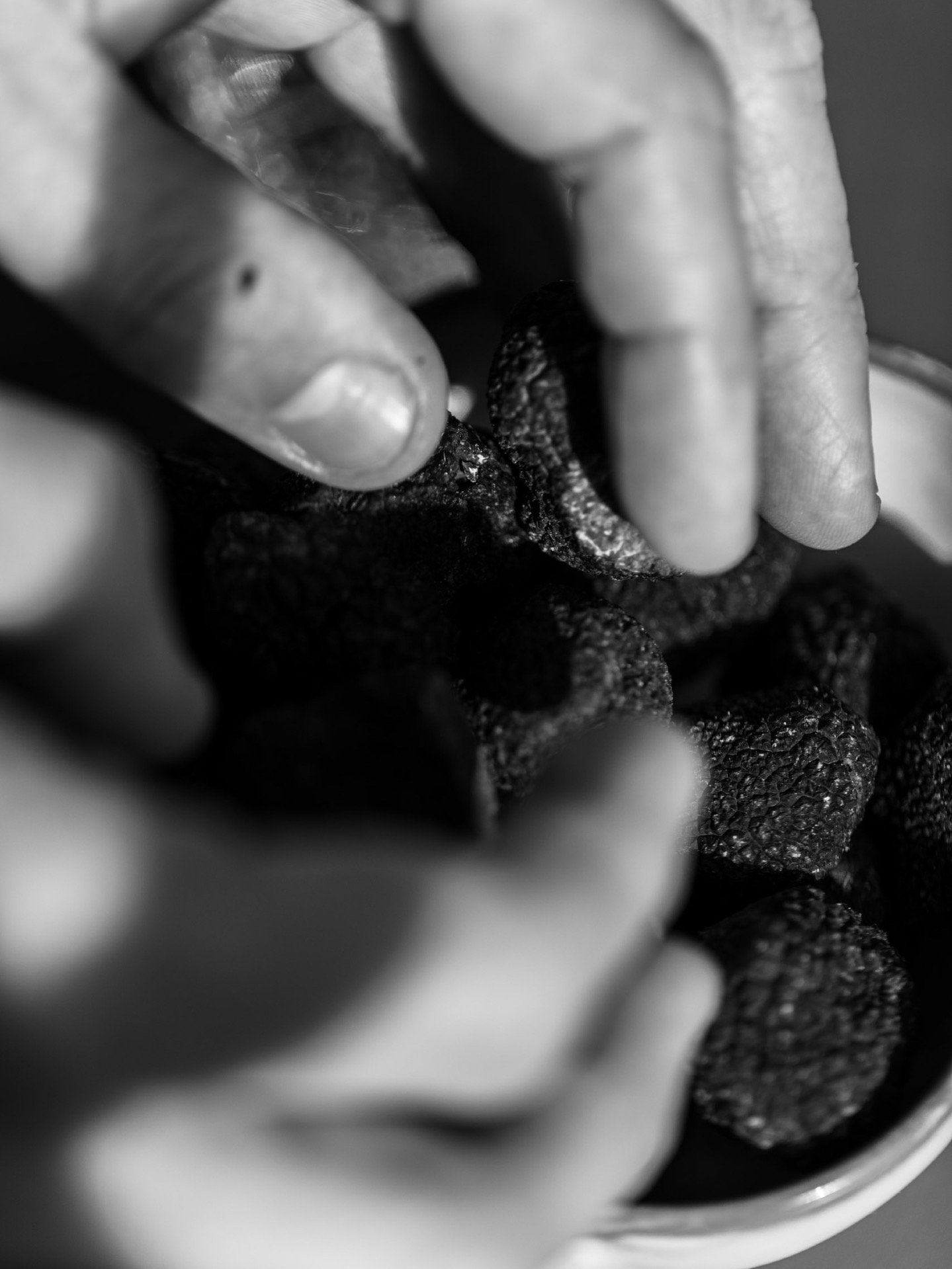 ✨ Notre Soir&eacute;e 100% Truffe : Dimanche 8 mars au D&icirc;ner✨
Six temps pour la c&eacute;l&eacute;brer.
Six plats pour la laisser parler, vibrer, surprendre.

Le chef s&rsquo;amuse avec ce petit bijou de saison et en r&eacute;v&egrave;le toutes