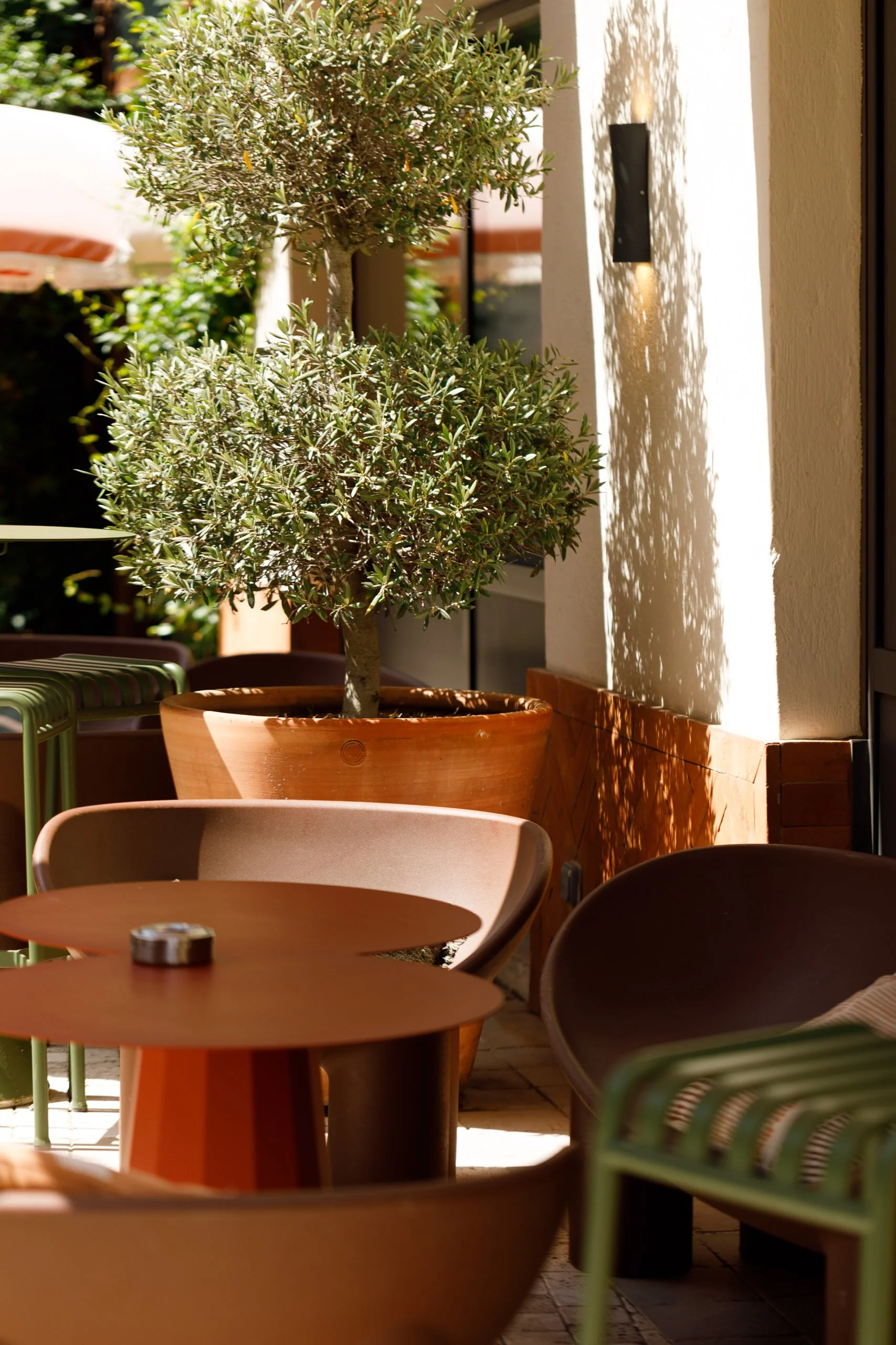 Une terrasse ensoleillée avec un arbre en pot placé à côté d’un mur blanc. Plusieurs tables et chaises colorées sont disposées autour, avec des ombres créant un motif sur le mur.