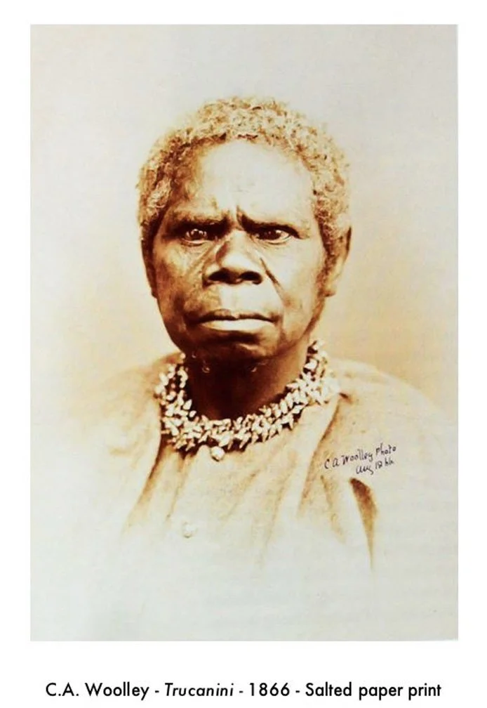 Screen Shot 2022-09-04 at 11.02.16 AM.jpg