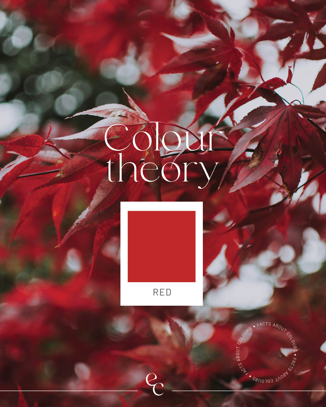 Colour Psychology / RED 🔴🍎🌹

Red has a rich history of meanings, from passion and love to anger and war. Red is considered a universal colour as it can represent so many things. 

A dark red can express luxury while a rich vibrant red can convey e