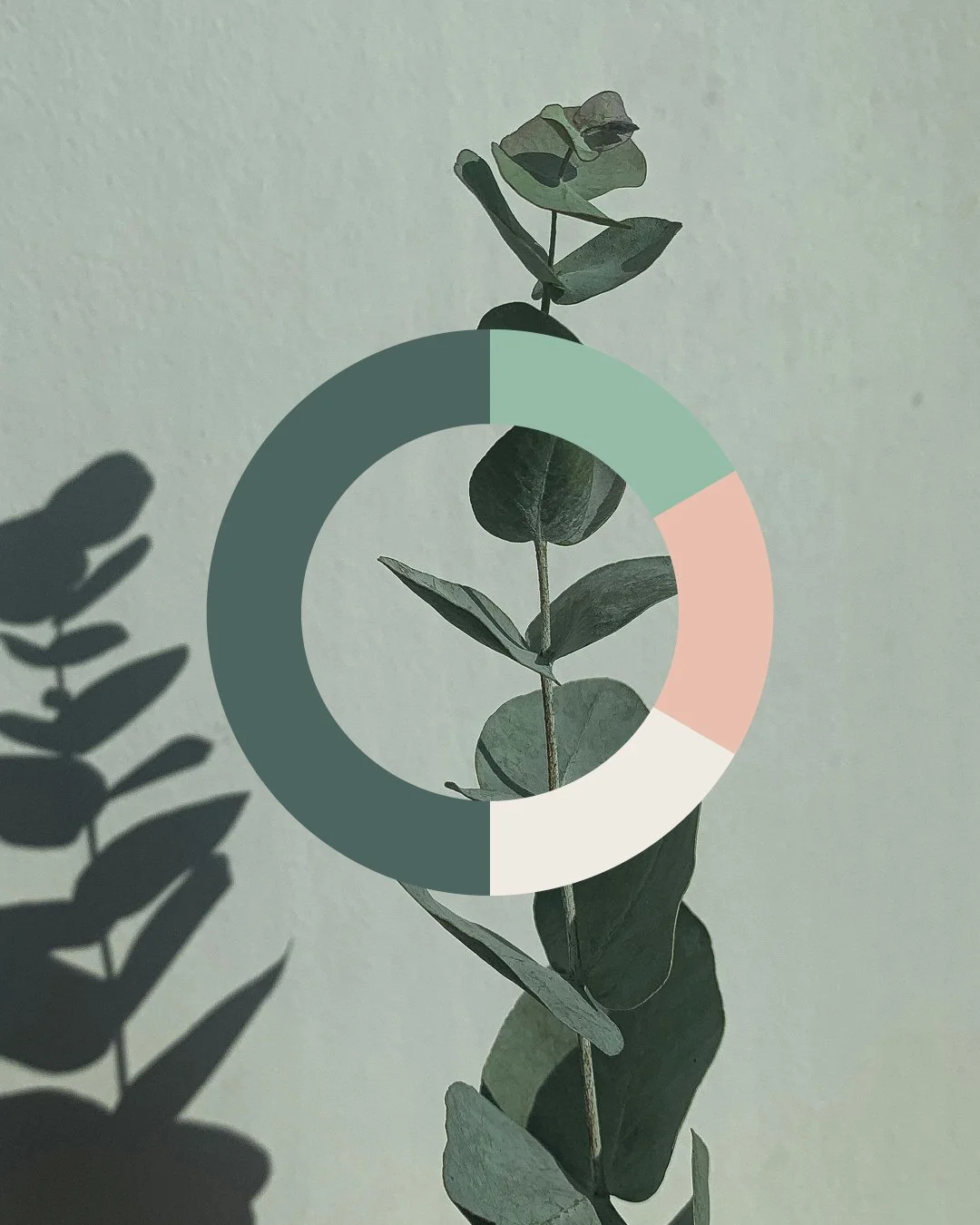 colour palette mockup