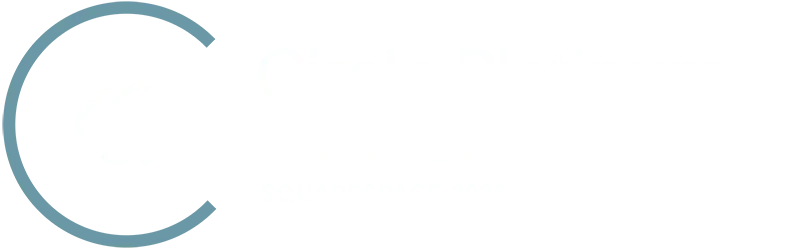Squarespace Circle Platinum Partner 2026
