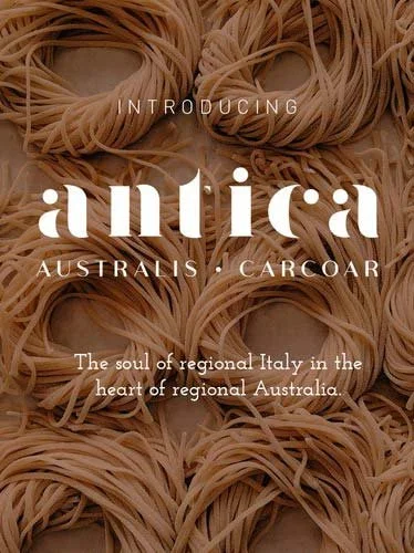 Antica Australis logo mockup over an image of pasta