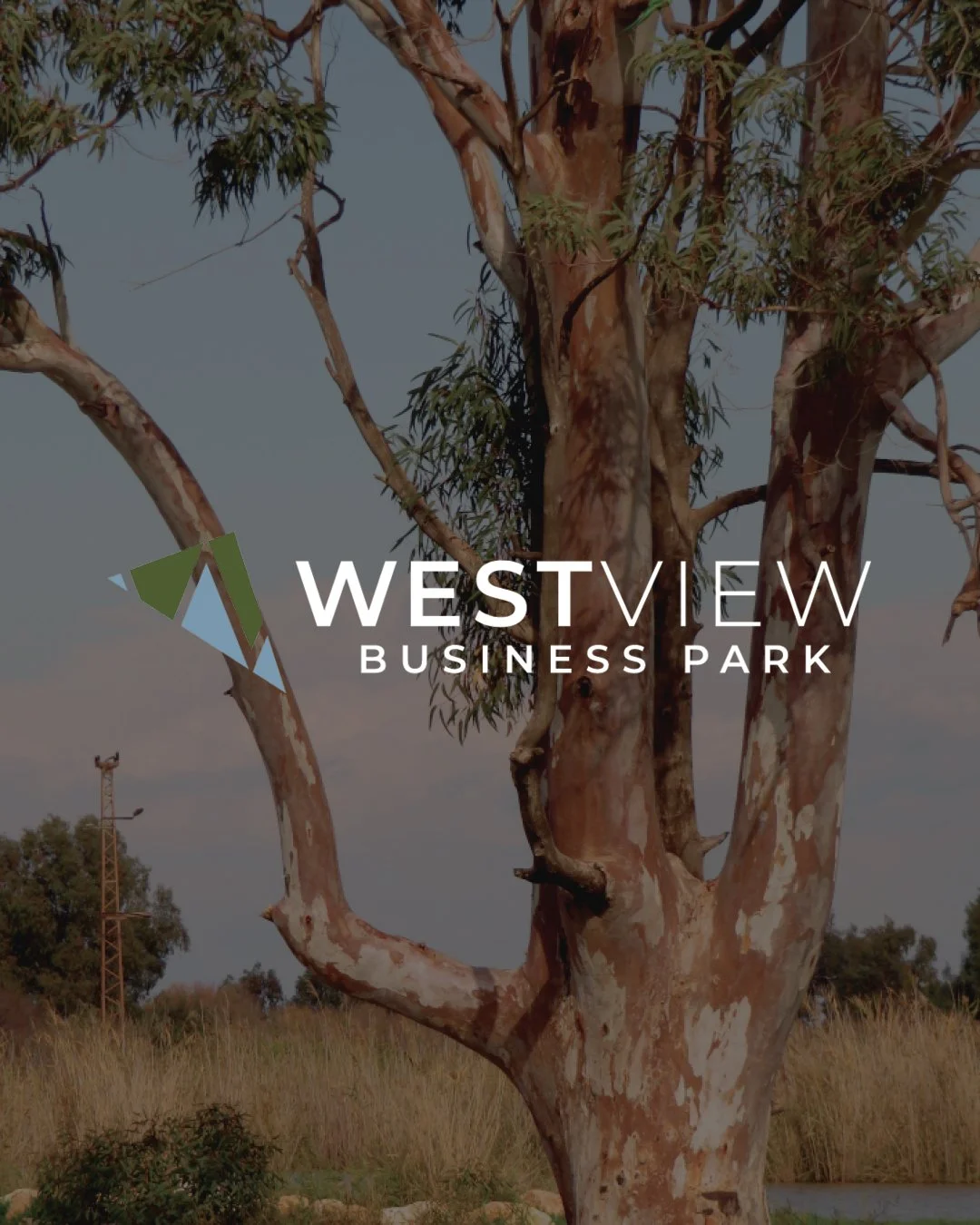westview business park logo mockup