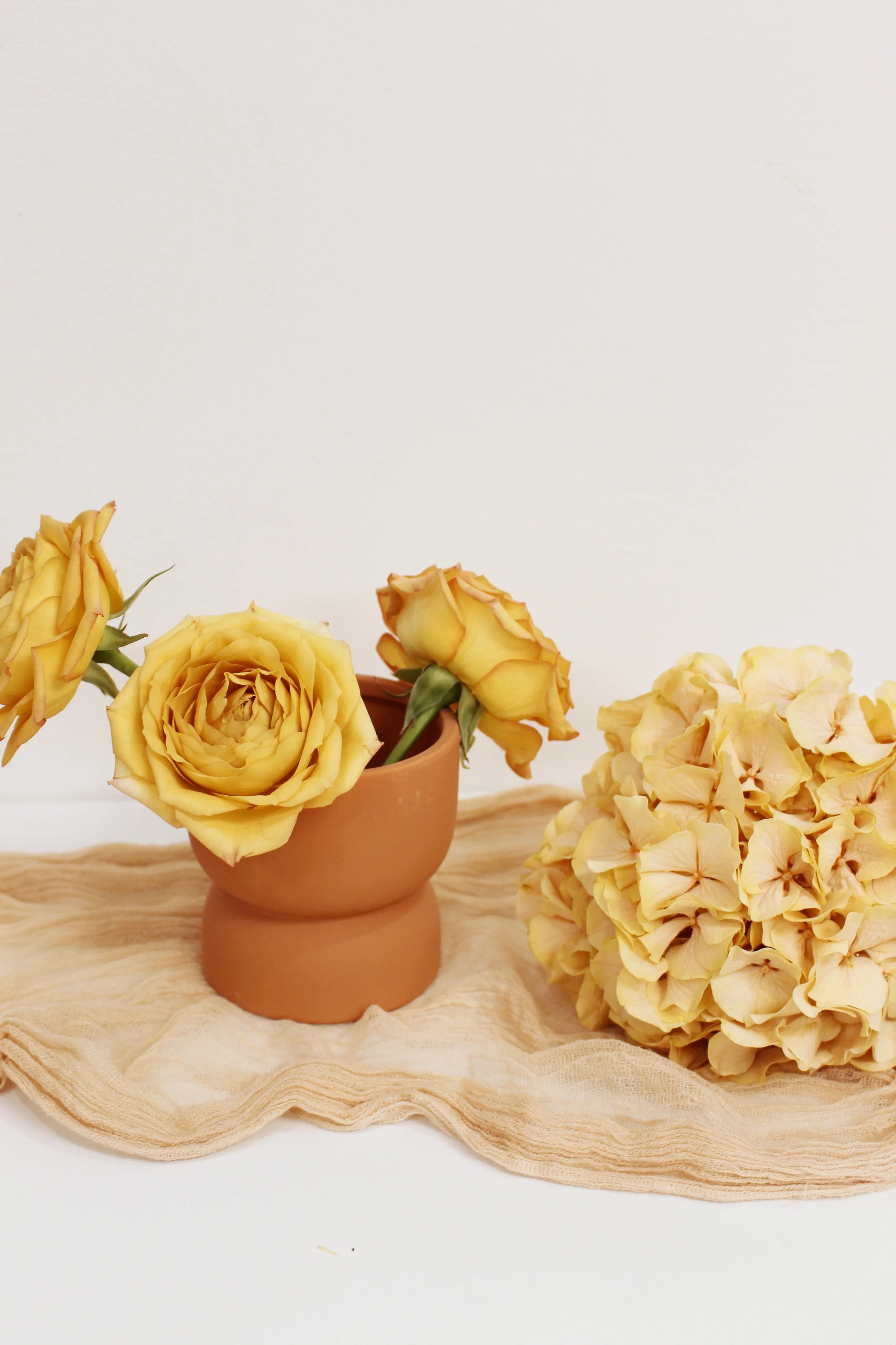 terracotta ceramic compotes