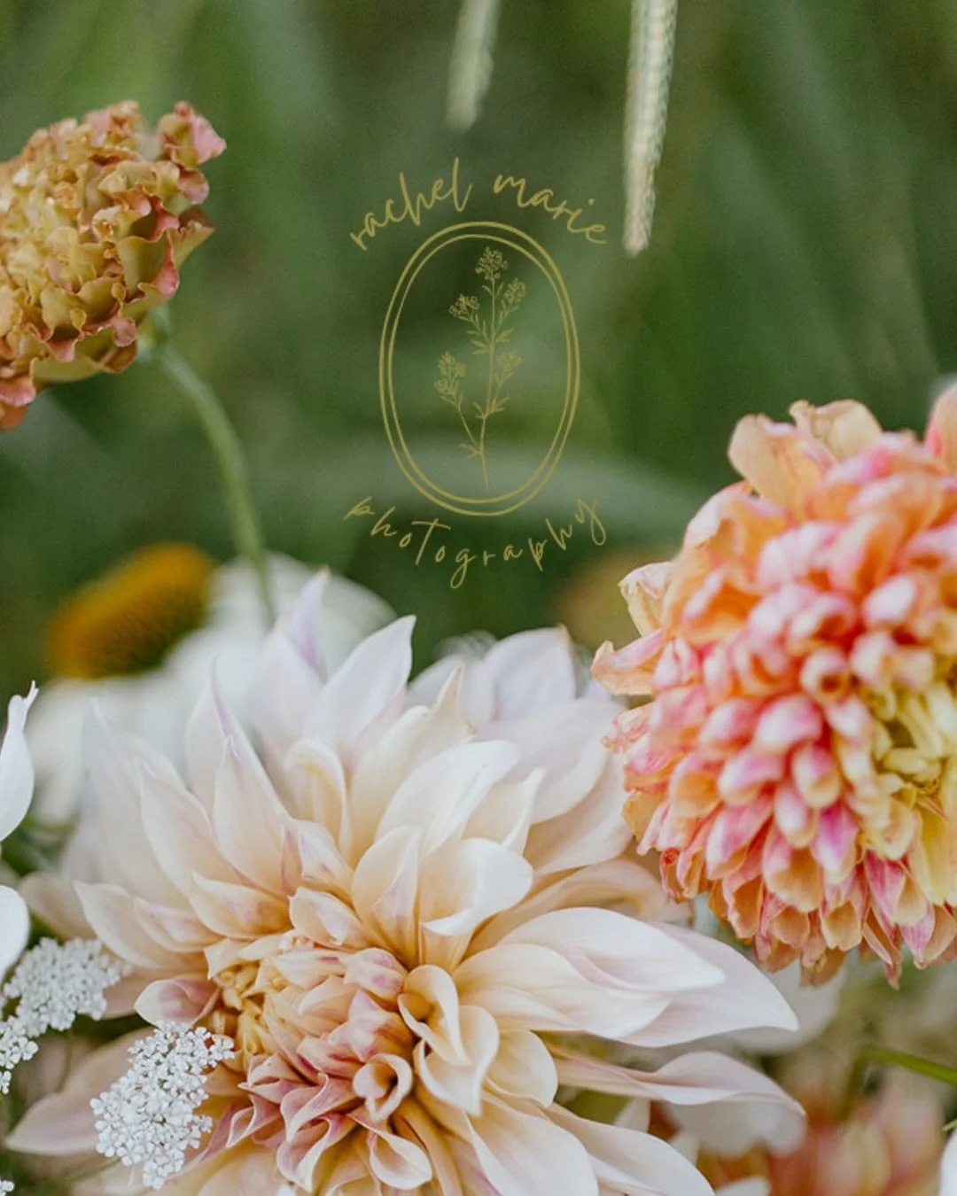 Hi! I&rsquo;m Rachel! 💛

It felt like the perfect time for an introduction post with some exciting news! 

I&rsquo;ve moved abroad! 🇬🇧

I am now based in Essex, UK! I&rsquo;m very excited for this new chapter for Rachel Marie Photography, and I&rs