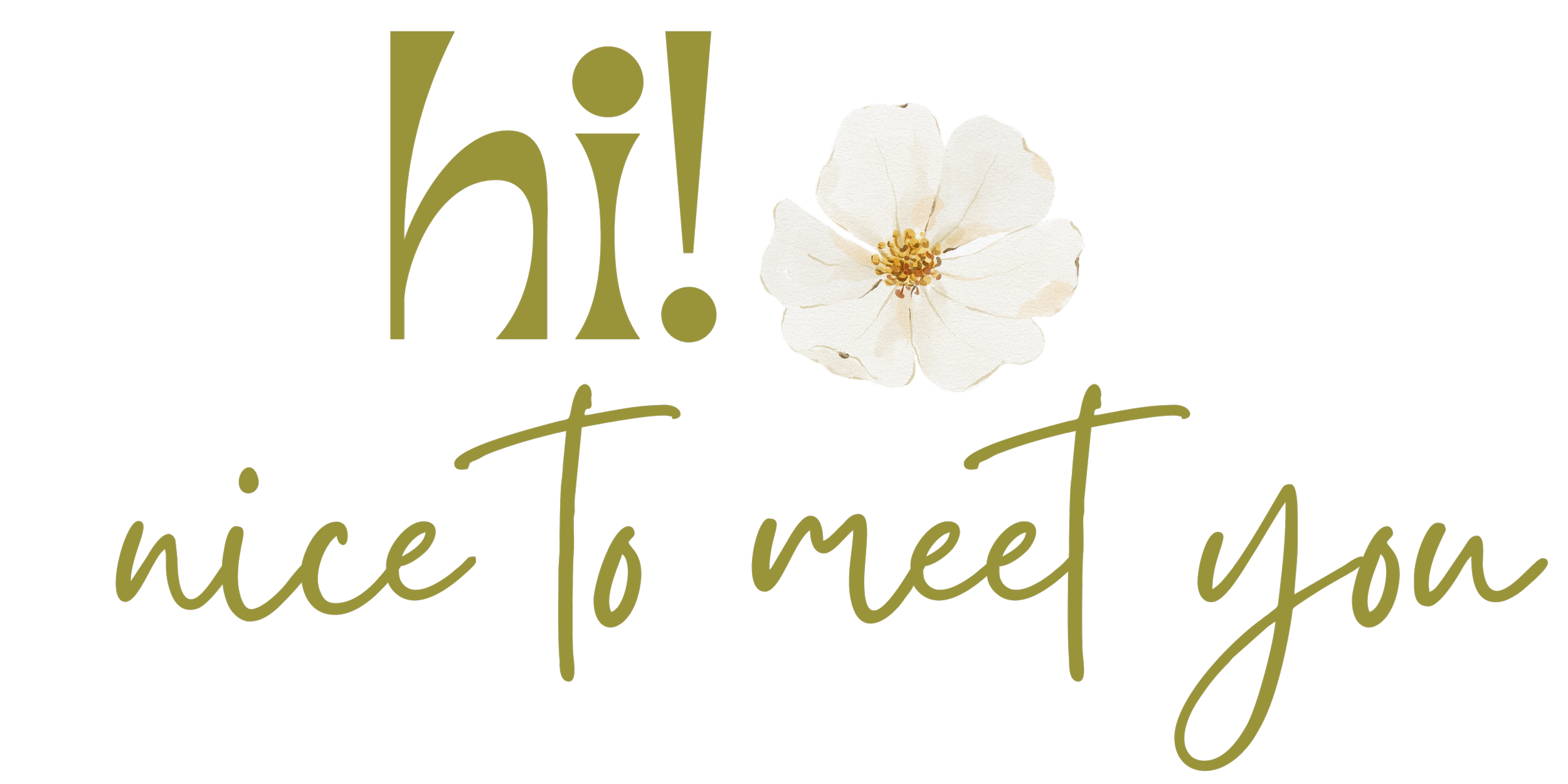 A decorative black background with olive green text that reads "hi!" and "nice to meet you", accompanied by a white flower with five petals and a yellow center.