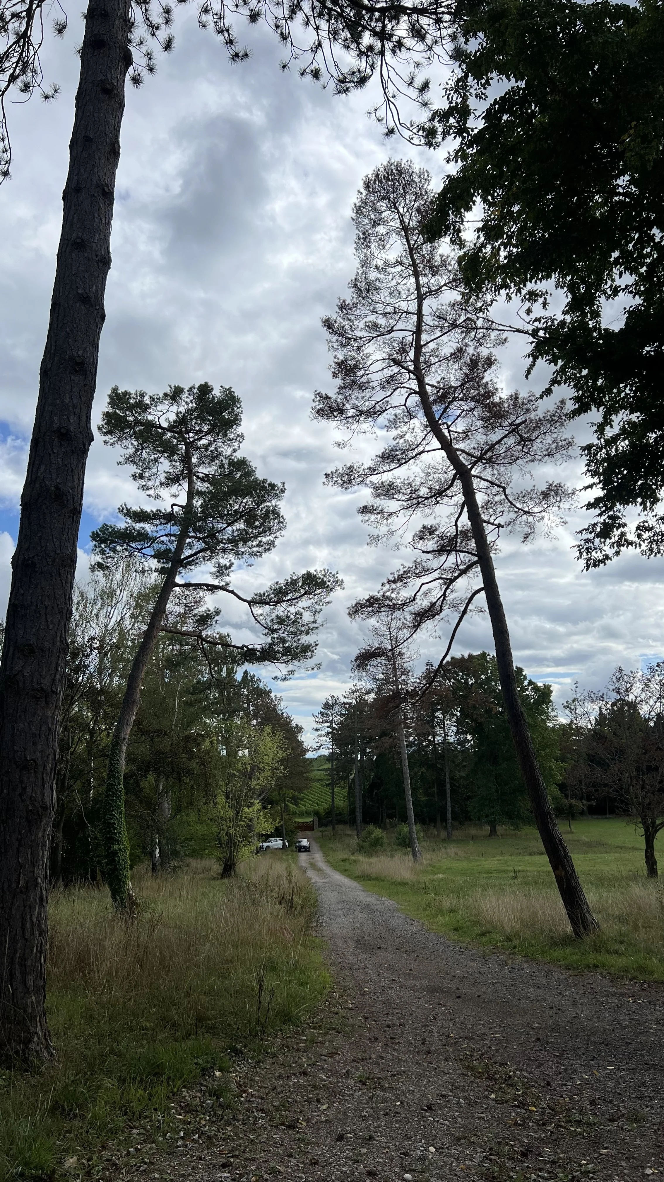 FullSizeRender (31).jpeg