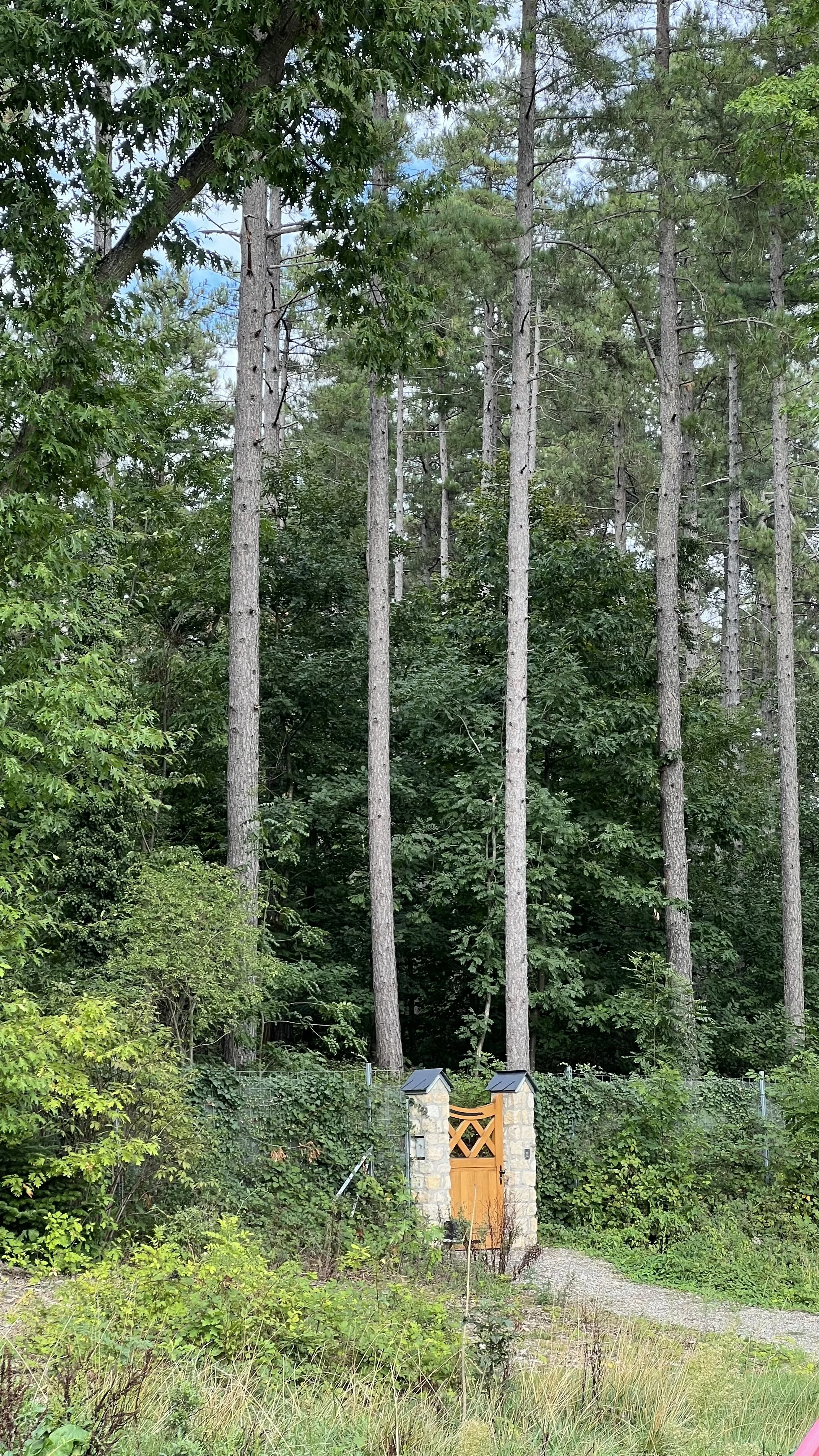 FullSizeRender (35).jpeg