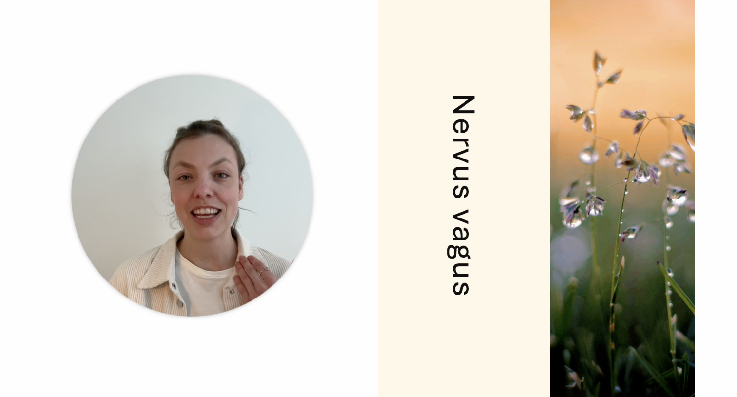 2 minuten oefening: rust-knop van je zenuwstelsel