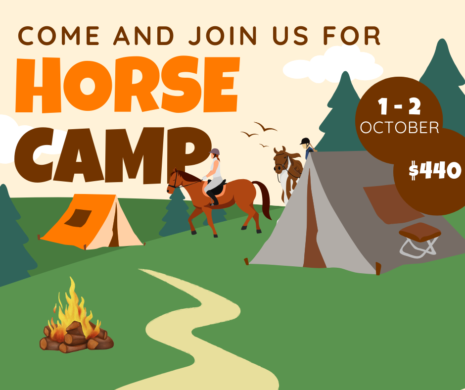 Horse Camp