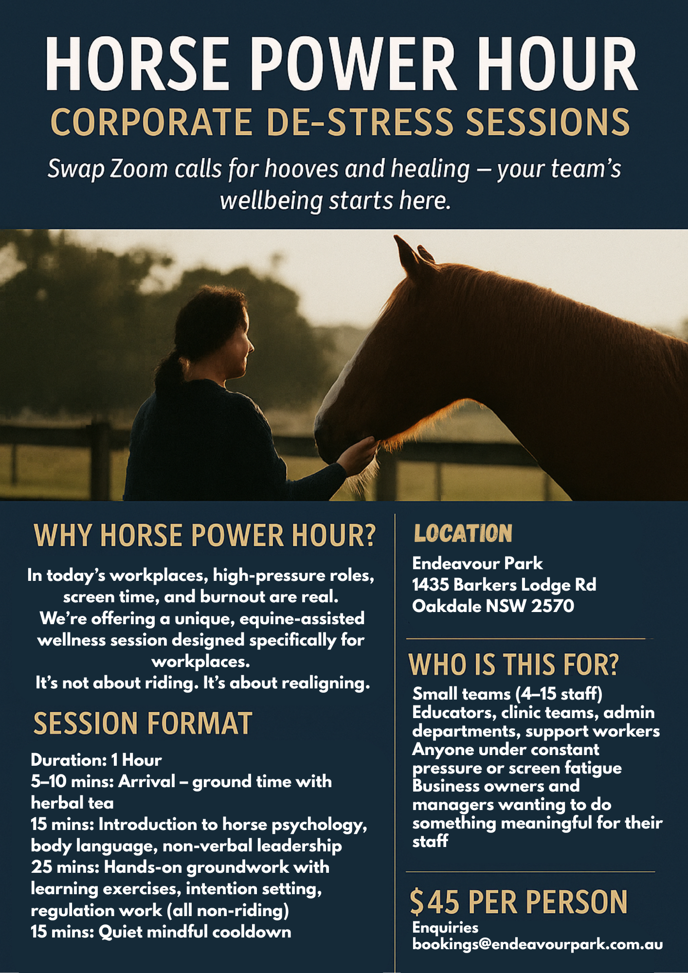 Poster advertising Horse Power Hour, a corporate de-stress session involving interaction with horses, at Endeavour Park in Oakdale, NSW. It describes the session format, location, cost, and target audience, featuring a woman petting a horse during sunset.
