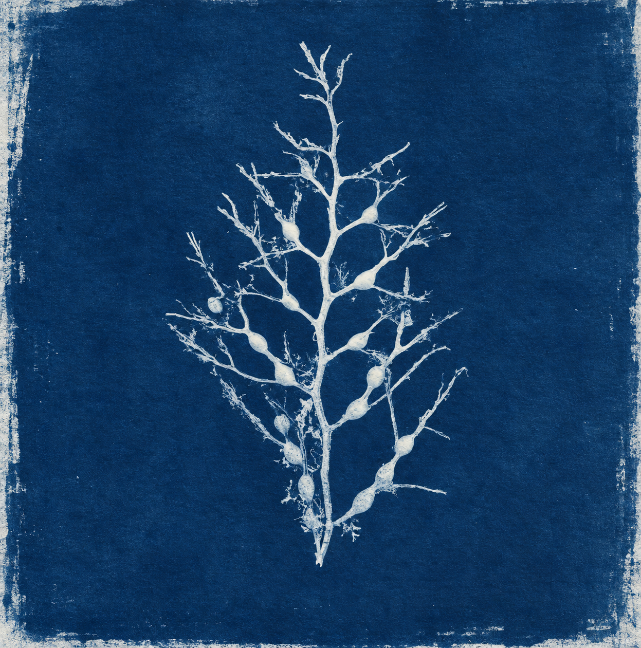ChatGPT Image Sep 22, 2026, 12_06_21 AM.png