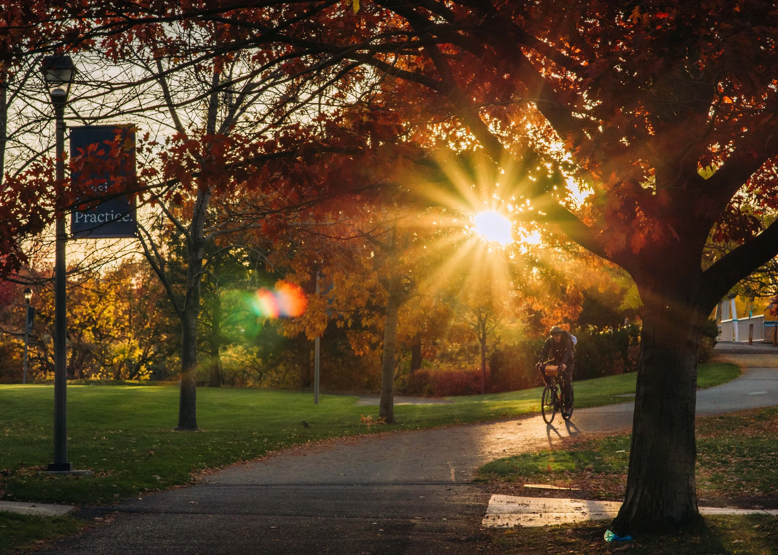 2021-1103 Fall Campus Shots WEB -CMcInelly-16.jpg