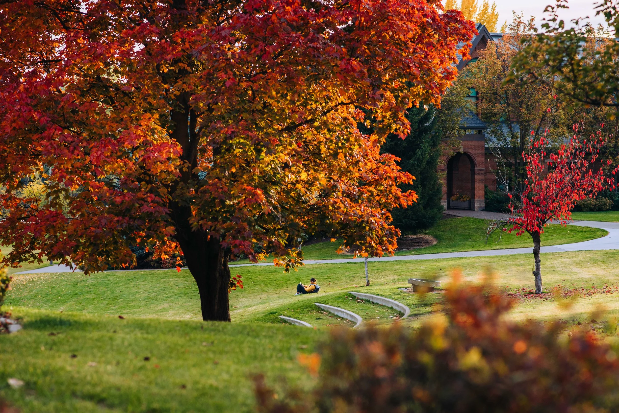 2021-1103 Fall Campus Shots WEB -CMcInelly-9.jpg