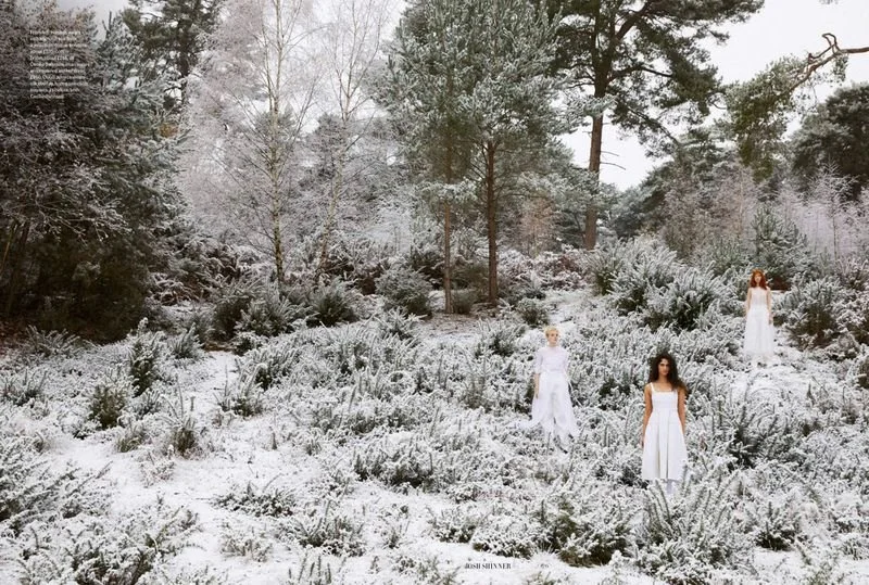 1881544-800w.jpg