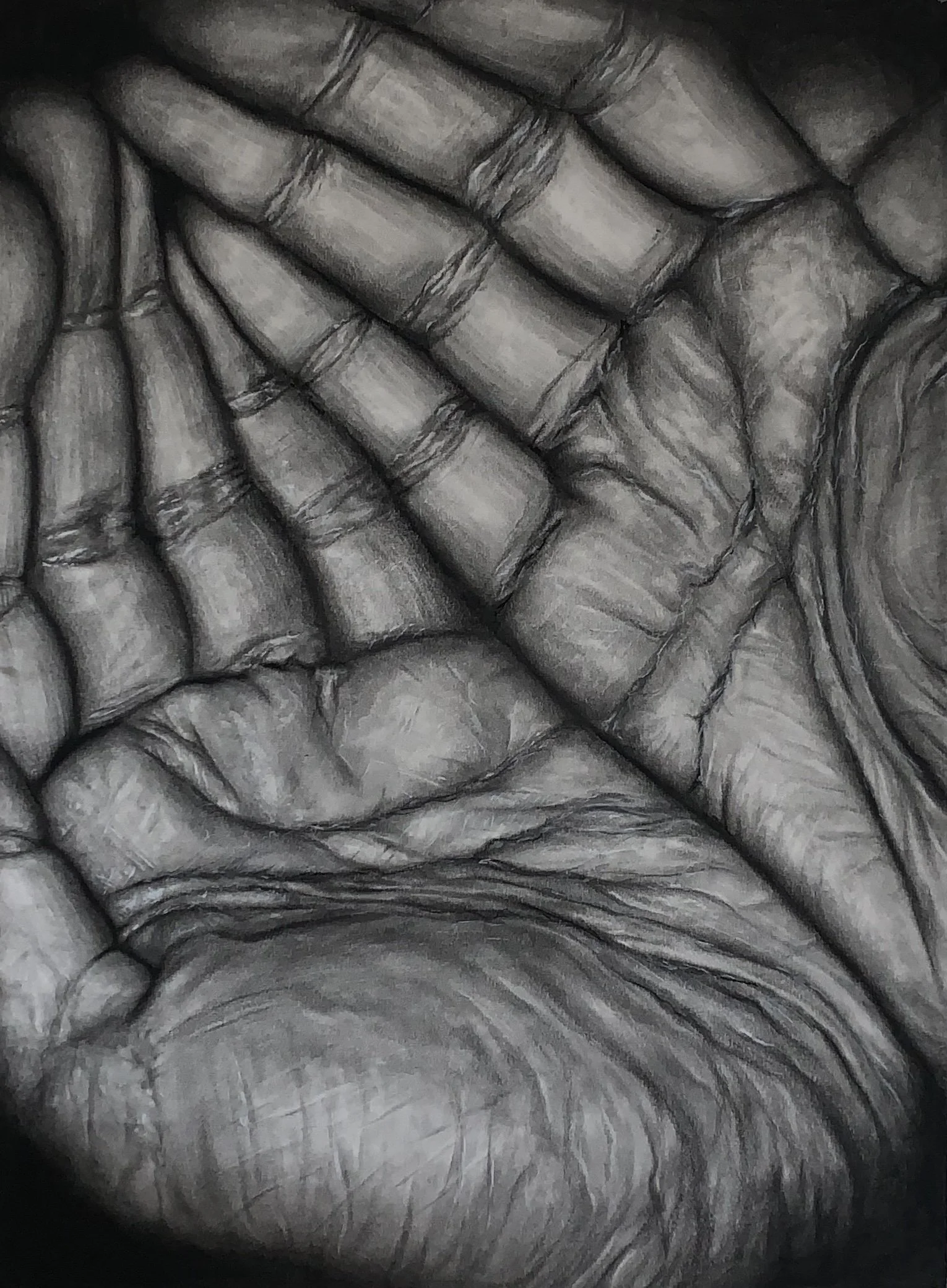 Receptiveness (2021), Charcoal on Paper, 30" x 22"