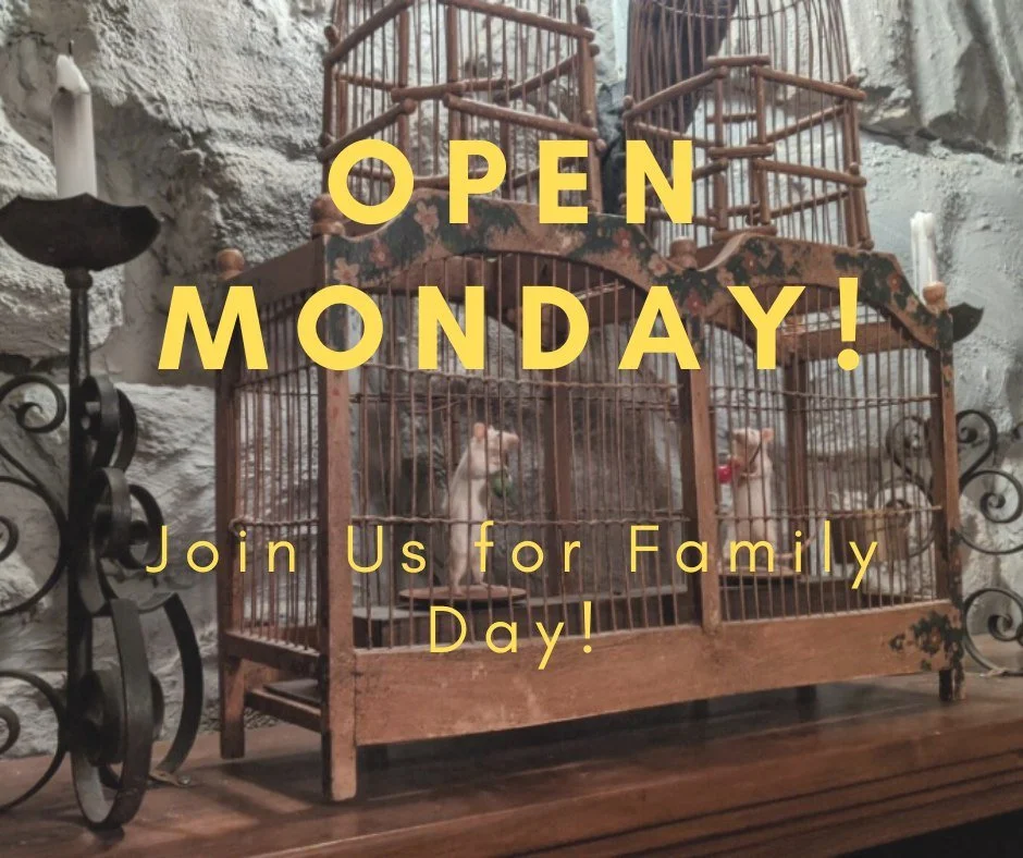 Family Day = quality time done right 💛

Work together as a family, solve something new, create core memories, and keep everyone busy (and off their phones 😉).

Perfect for any age. Our games are delightfully whimsical fun with just the right balanc