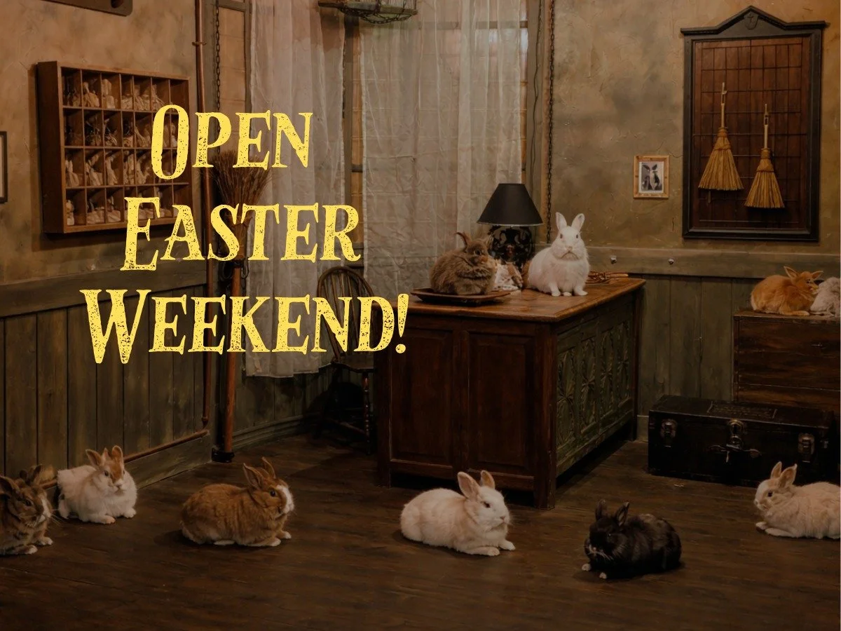 Hoppy Easter! 🐰🌸

We&rsquo;re egg-cited to let you know we&rsquo;re open all Easter weekend! 🥚✨
So, hop to it and plan your next adventure 🐇👀

No bunny does it like you 😉 come make some unforgettable memories with us!

Also&hellip; if you need 