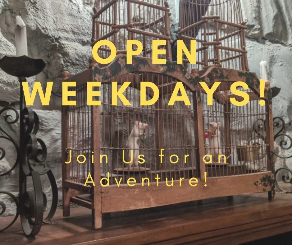 🎉 Thrifty Thursday is Almost Here! 🎉

Looking for an affordable way to have fun in Toronto? Make Thursday your adventure day at Looking Glass Adventures! 🔐✨

📅 Available every Thursday for games 3:45PM or later
🧩 Family-friendly adventures
📍 Co