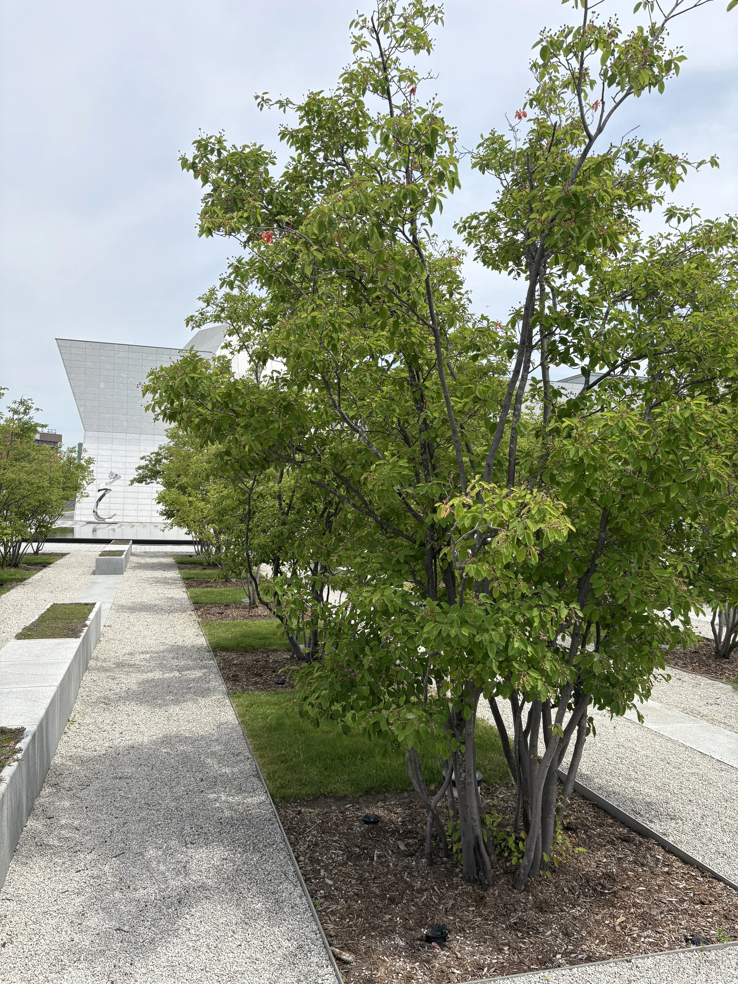 Aga Khan Museum Toronto