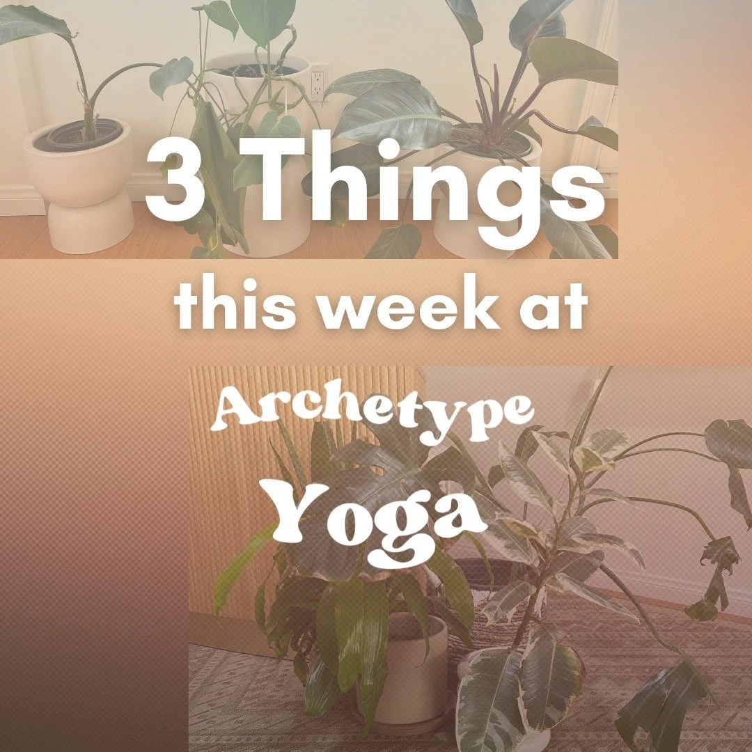 👀 3 Things happening this week!

Join us to move, empower, reflect and ignite your practice at Archetype Yoga.

➡️ 3 Things at Archetype Yoga
- Recommended Class- Yogalates Mondays 7:30pm w/ Kiana @pilateswithki 
- Meet Sofia on the mat Thursday's 6